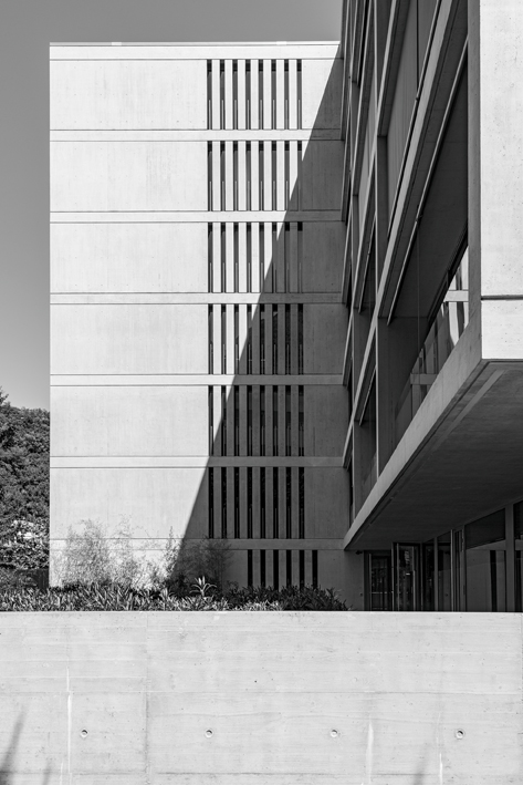 (Foto: Nicola Roman Walbeck)