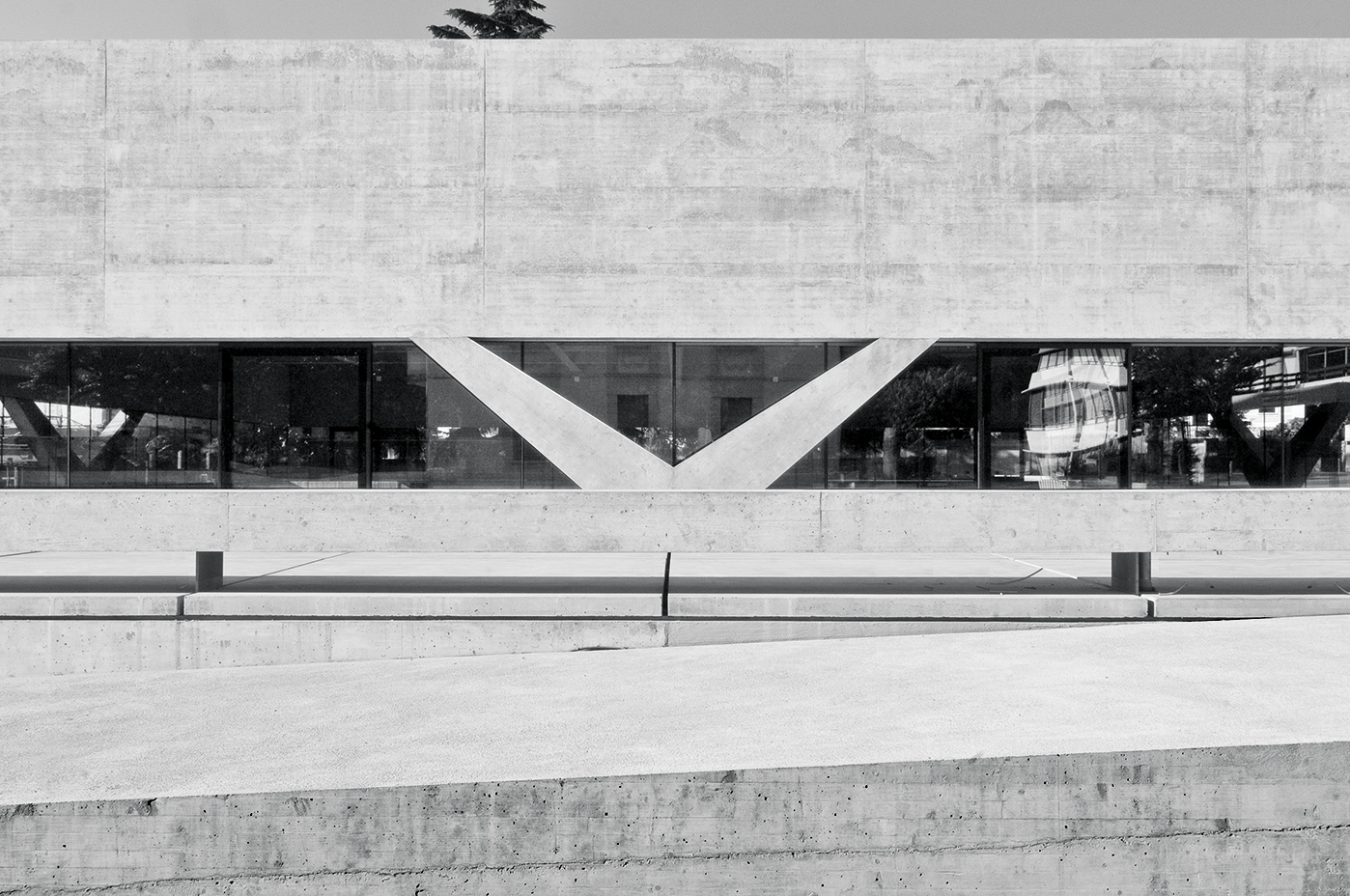 Palestra di Chiasso (Foto: Marcelo Villada Ortiz)