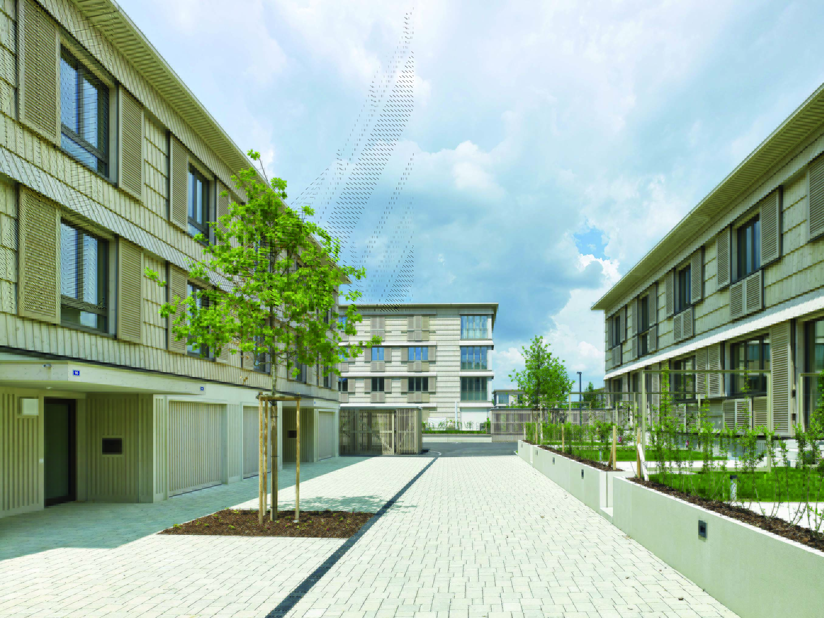 Dietrich Schwarz Architekten: Siedlung Neugrüen, Mellingen (AG). (Foto: Jürg Zimmermann)