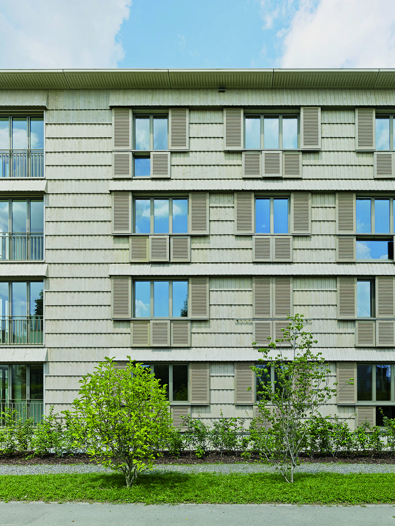 Dietrich Schwarz Architekten: Siedlung Neugrüen, Mellingen (AG). (Foto: Jürg Zimmermann)