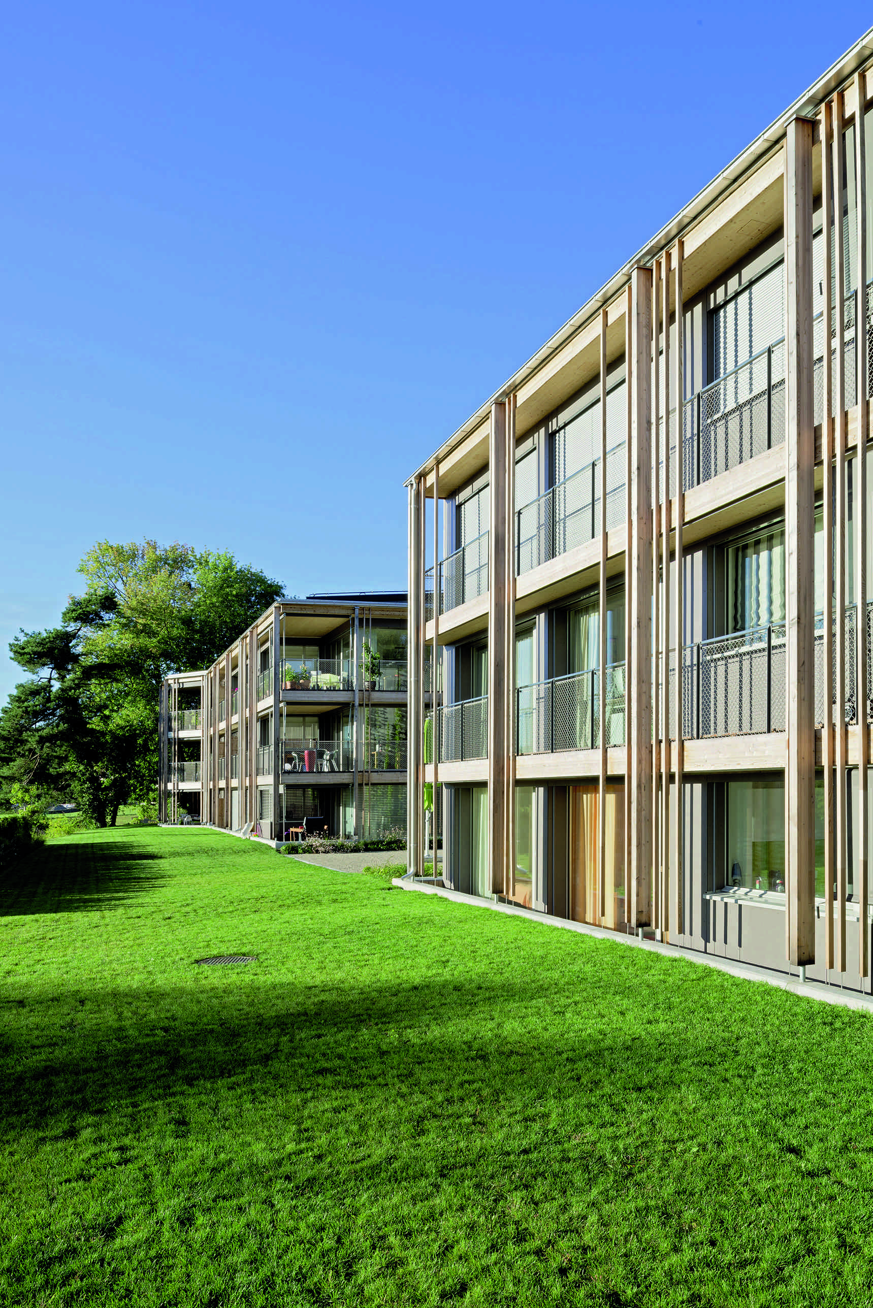 kämpfen für architektur: Nuove abitazioni, Küsnacht (ZH). (Foto: René Rötheli)