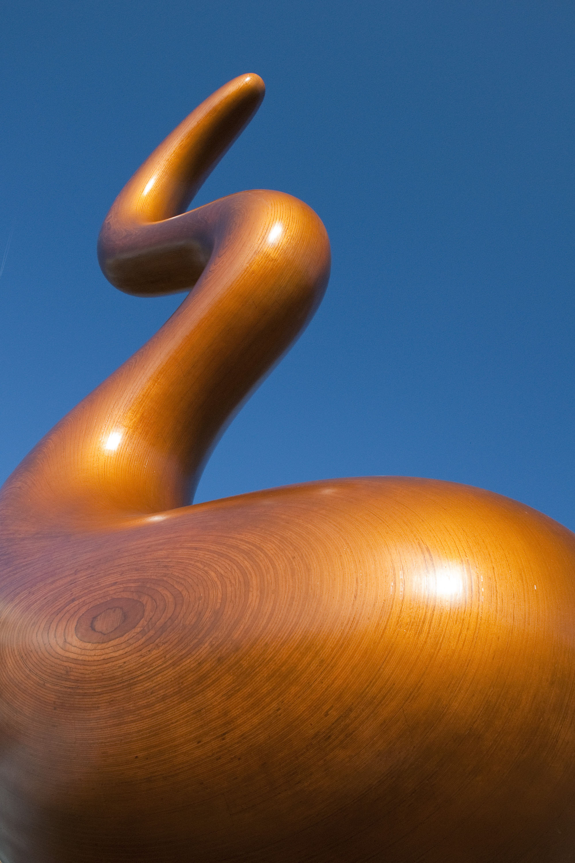 Der Name Snaporaz ist dem Film «La cità delle donne» (1980) von Frederico Fellini entlehnt