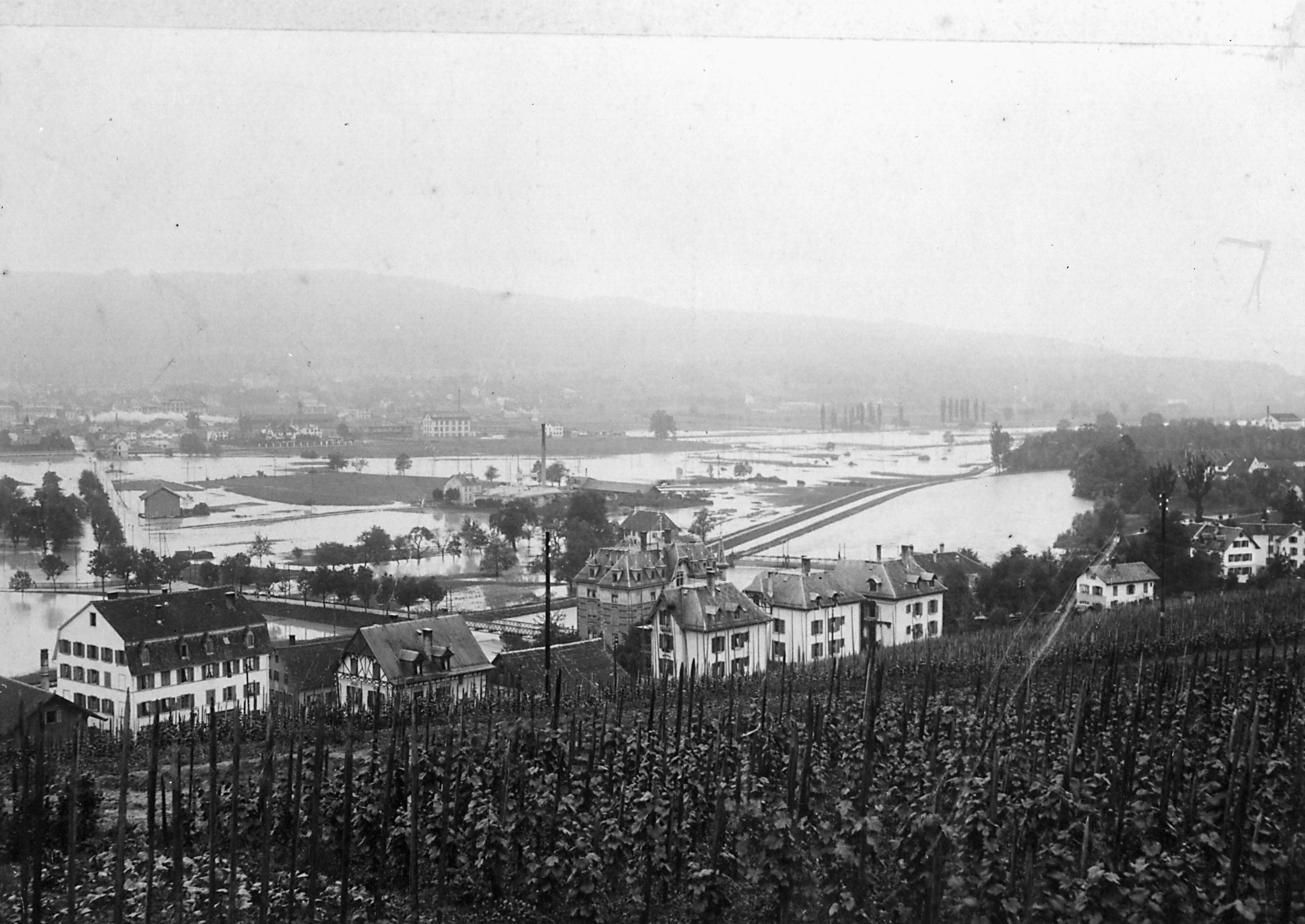 Blick von Höngg in die Ebene