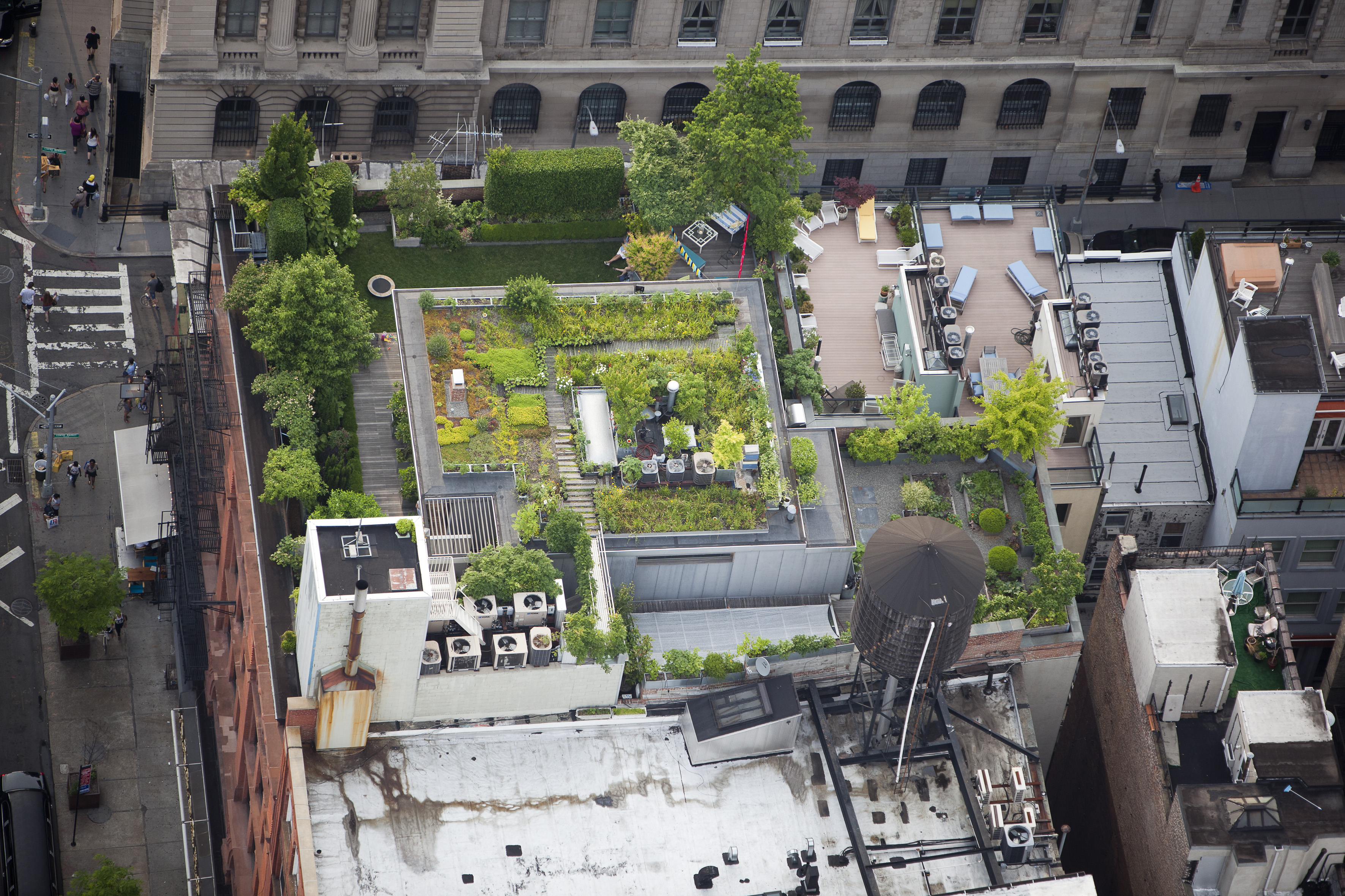 Quadratischer Blumengarten auf dem Dach eines Penthouse, umgeben von weiteren Pflanzenflächen mit Rasen und Gemüsegarten (176 Grand St, Little Italiy, Manhattan)