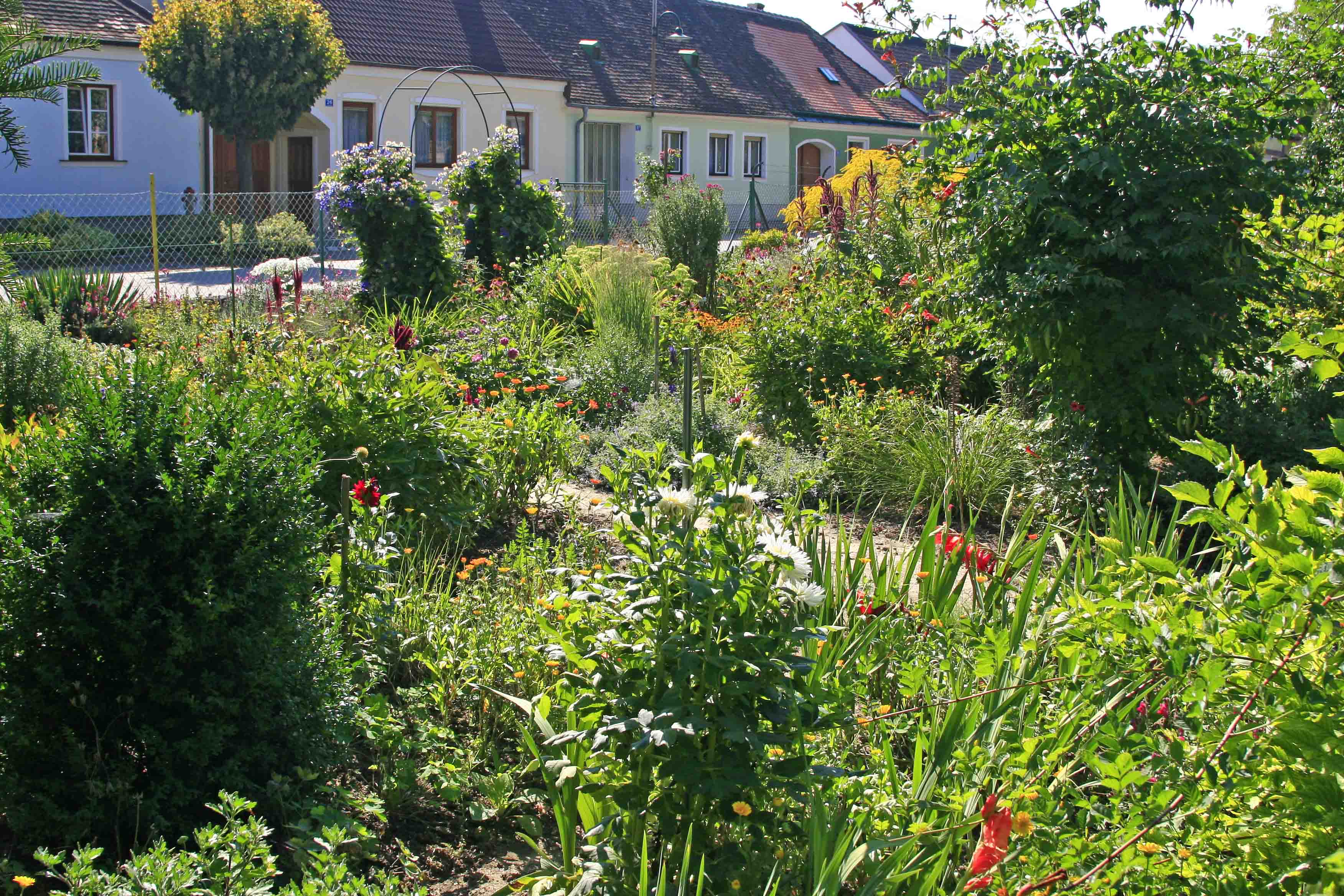 3. Preis: Angerdorf Unterretzbach (A) von Christine Rottenbacher, Geras (A). In der Mitte des Unterretzbacher Dorfangers fliesst der Landbach. In den Gärten wachsen wieder verschiedene alte Nutzpflanzen neben Blumen, Stauden, Sträuchern und Bäumen.