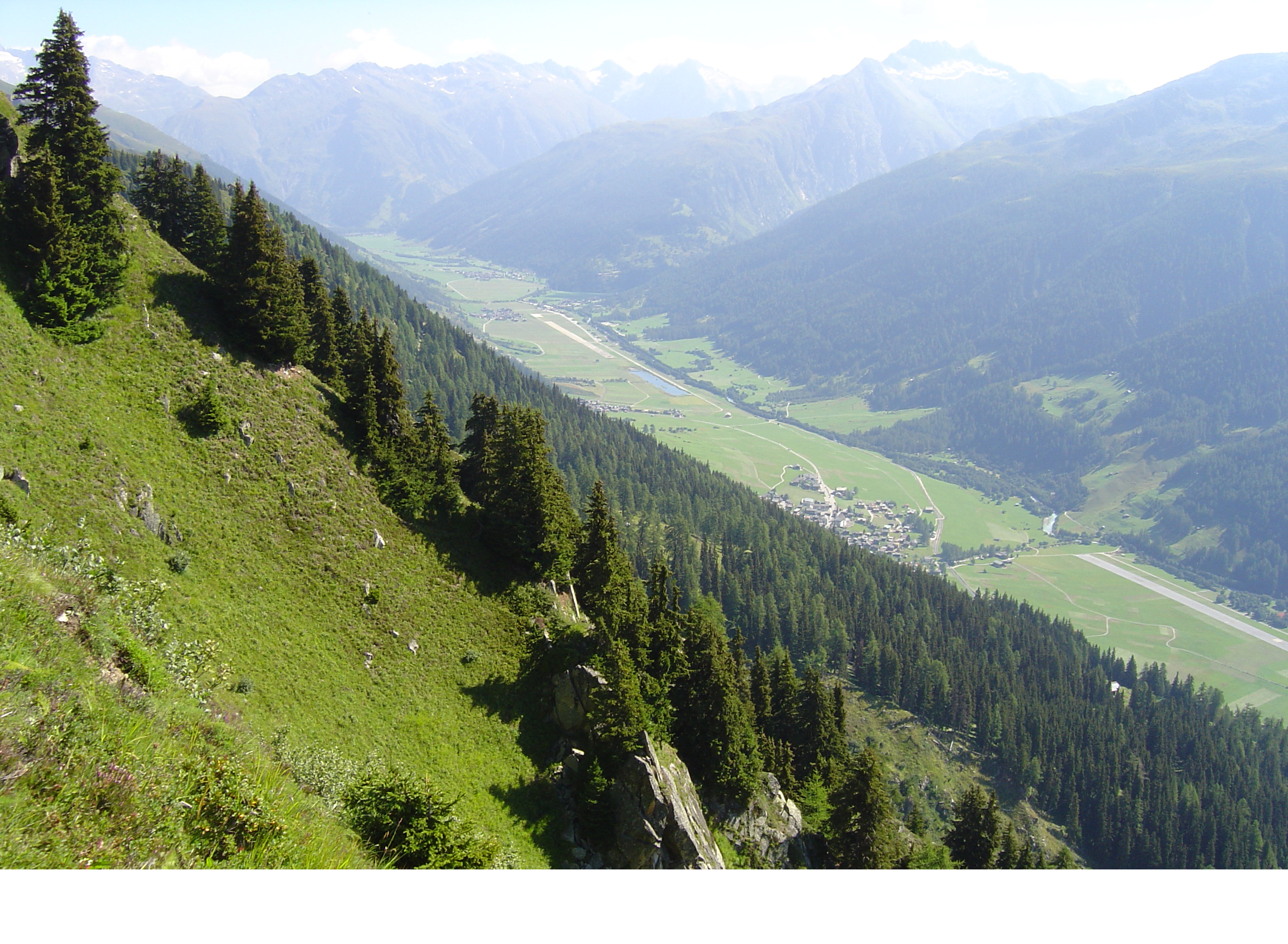 Schutzwald über Münster.