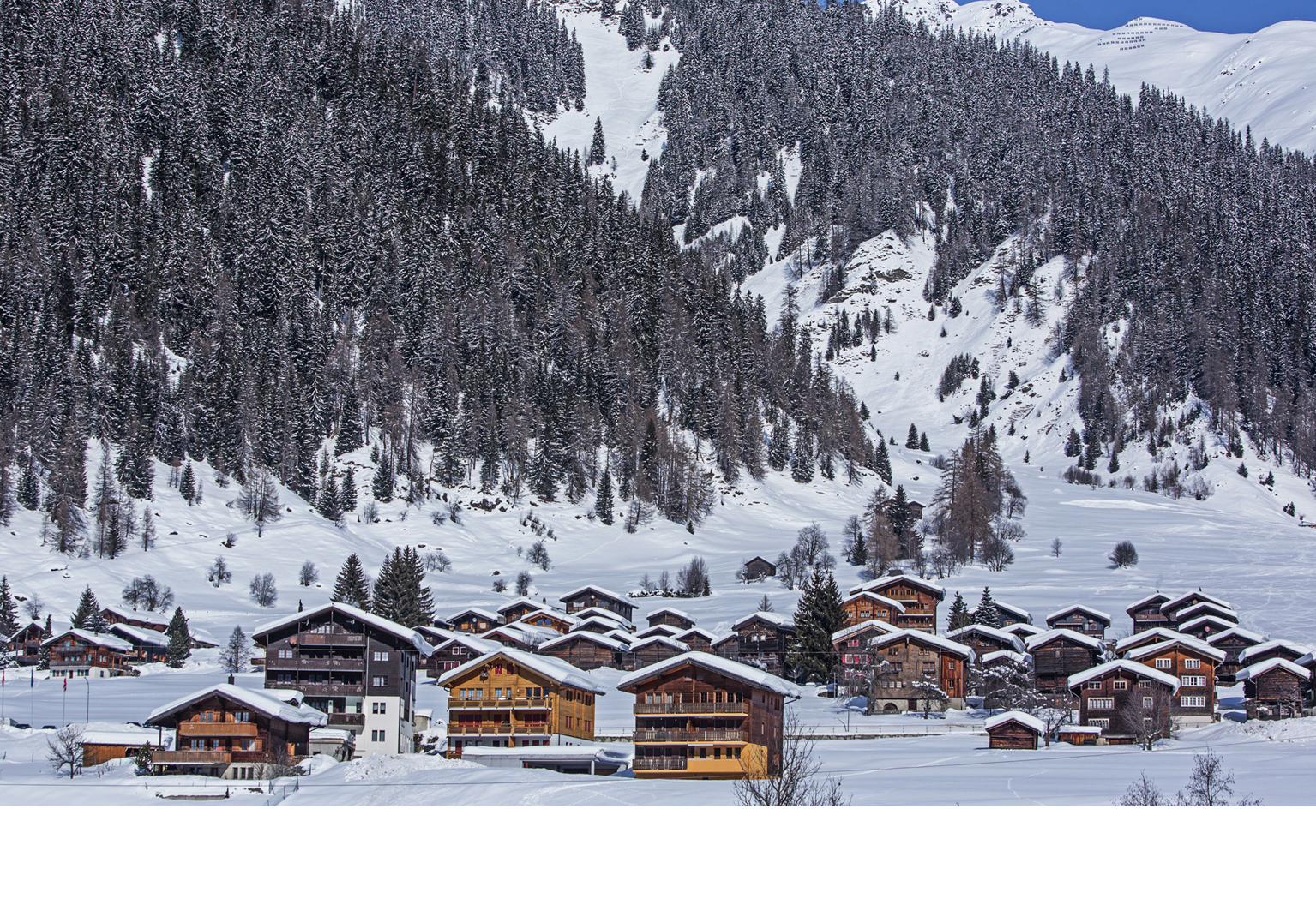 Gebirgswald mit bedeutender Schutzfunktion für Dörfer, Strassen und Bahn. Im Bild: Ritzingen VS.