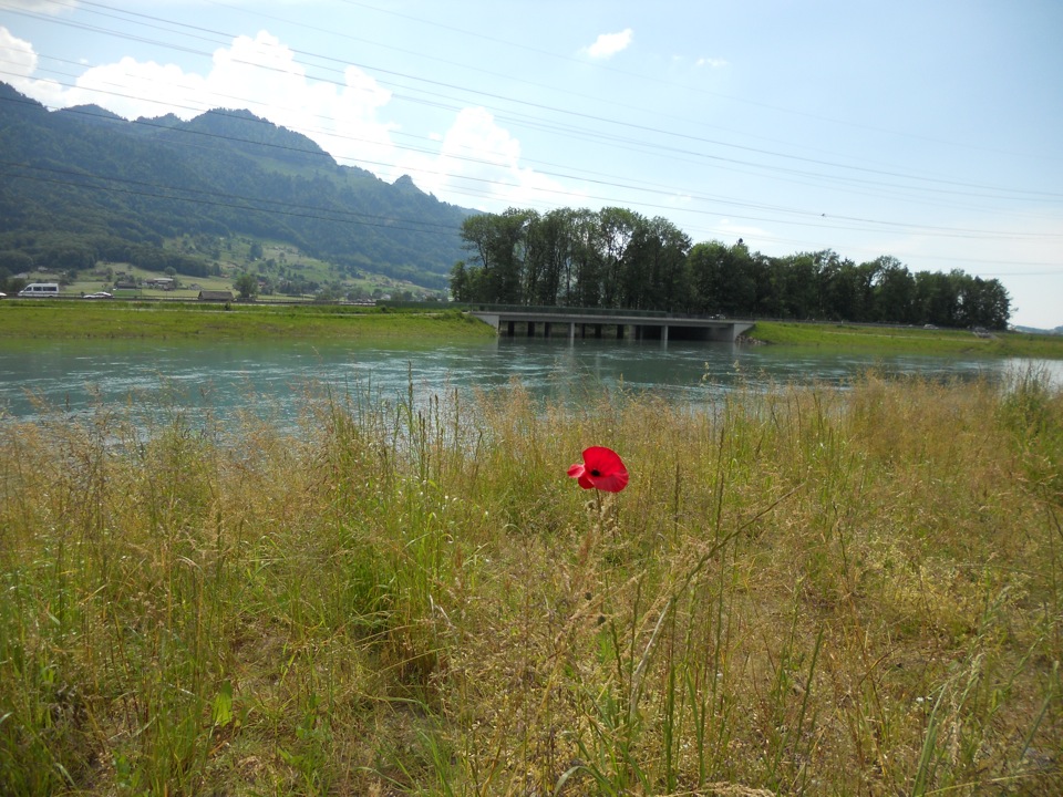 Linthkanal bei der Aufweitung Hänggelgiessen (Foto: Lukas Denzler)