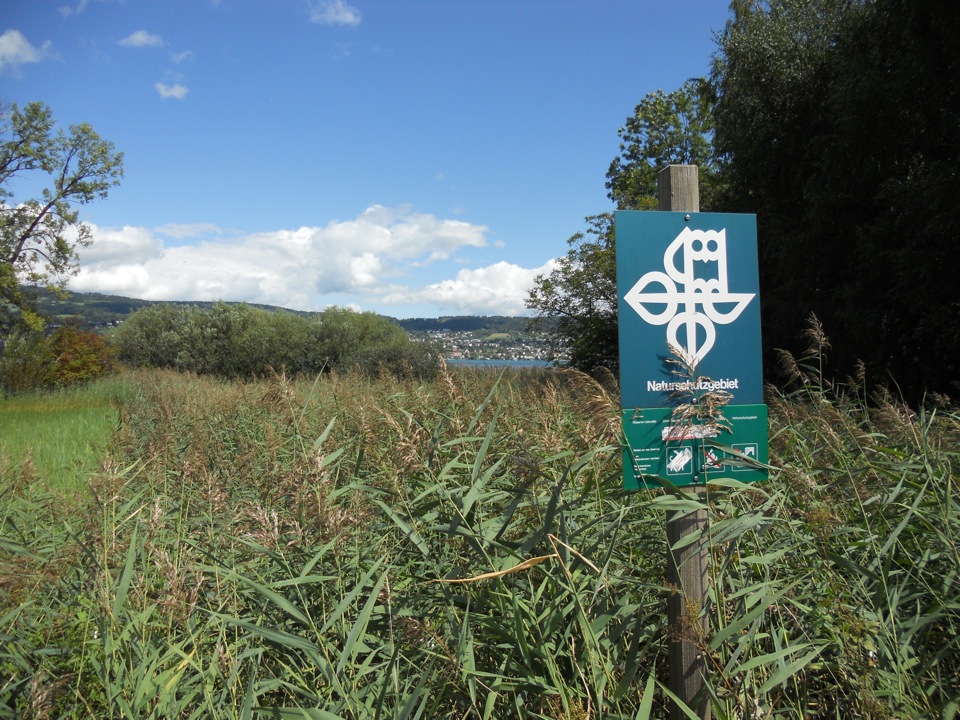 Naturschutzgebiet bei der Halbinsel Au