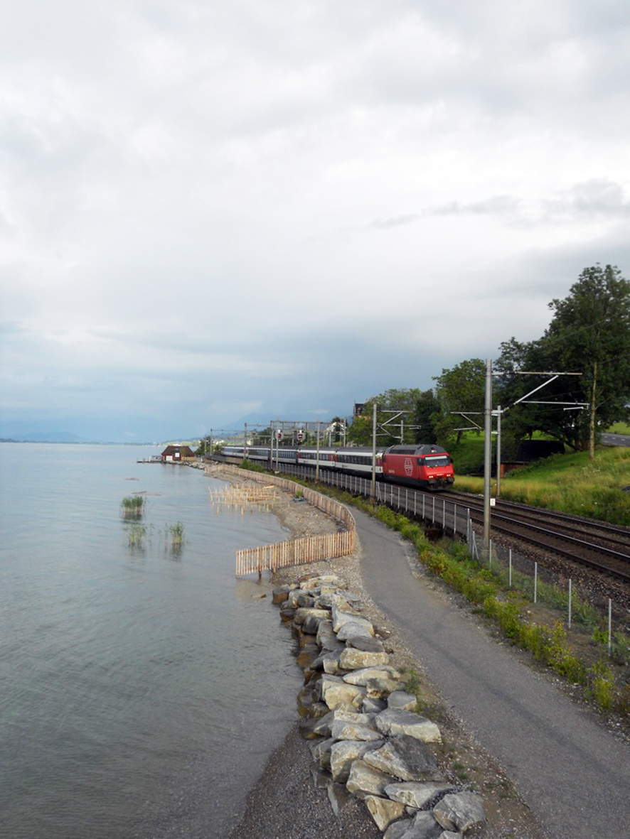 Schaffung von Flachuferzonen um neue Schilfbestände zu begründen