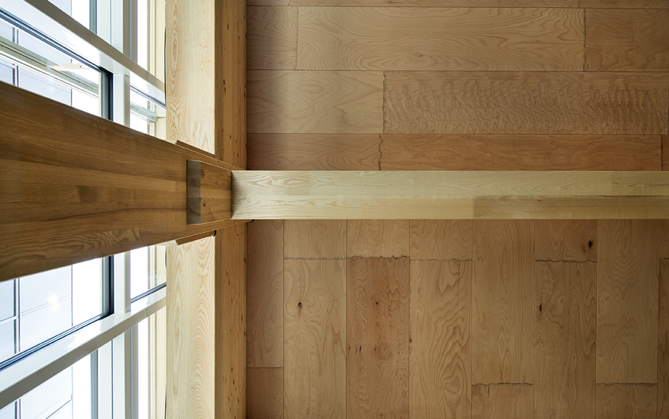 Unteransicht der Holz-Beton-Verbunddecken und der vorgespannten Rahmenkonstruktion