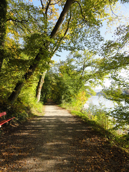 Etwa die Hälfte des Natur-Energie-Wegs für durch einen Uferwald