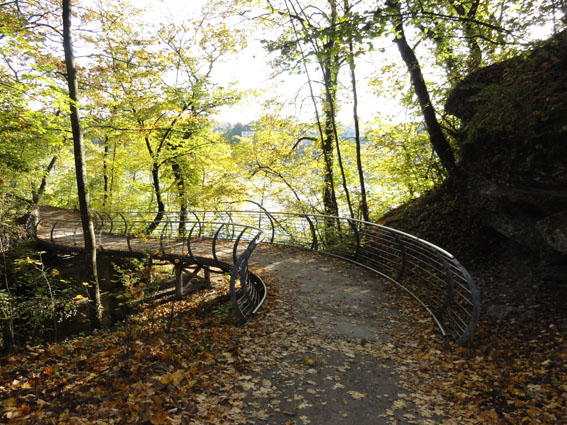 Der Natur-Energie-Weg beginnt beim «Höllhooge» und führt über einen Serpentinenweg zum Rhein hinunter.