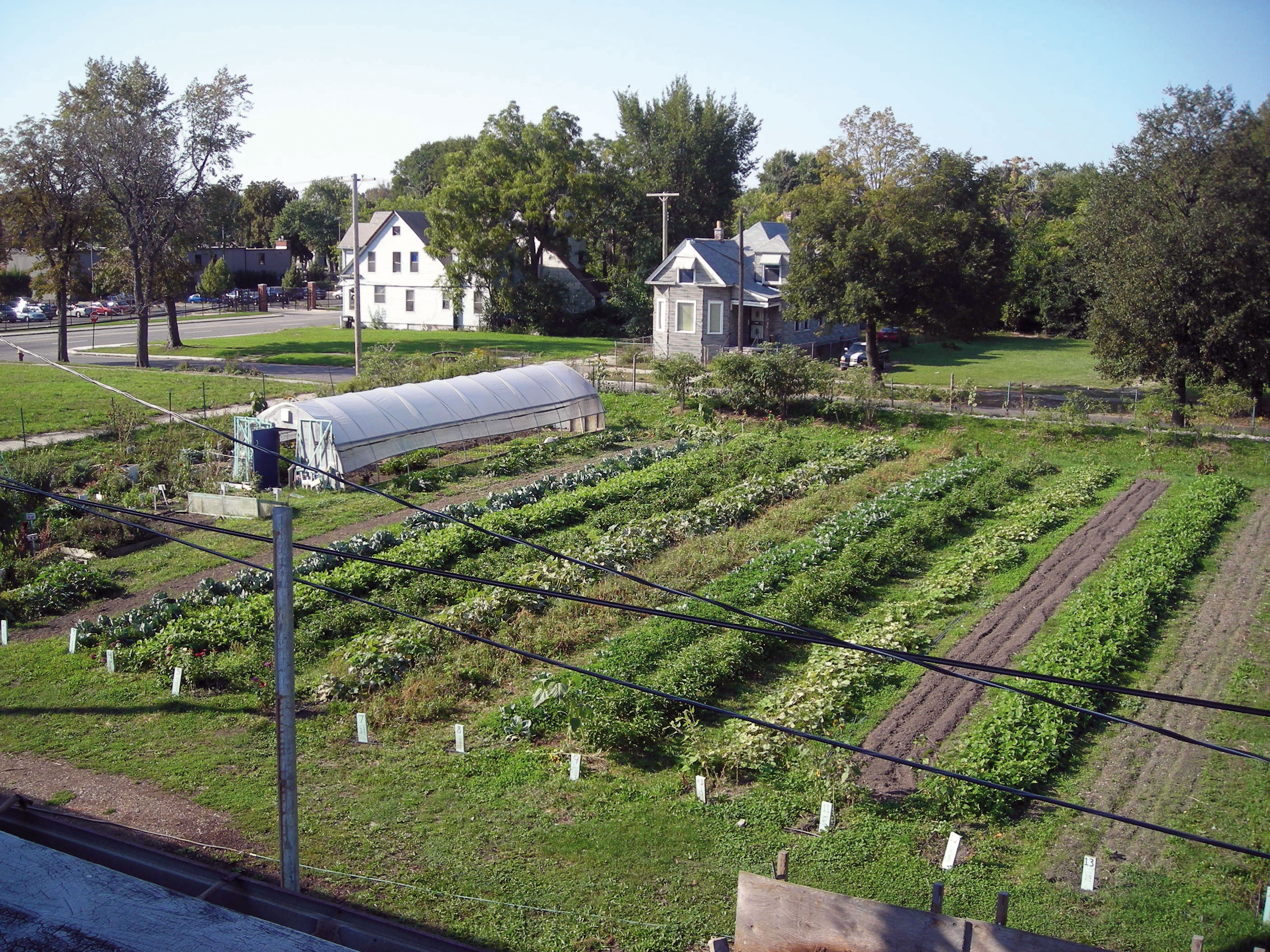 Détroit, agriculture urbaine