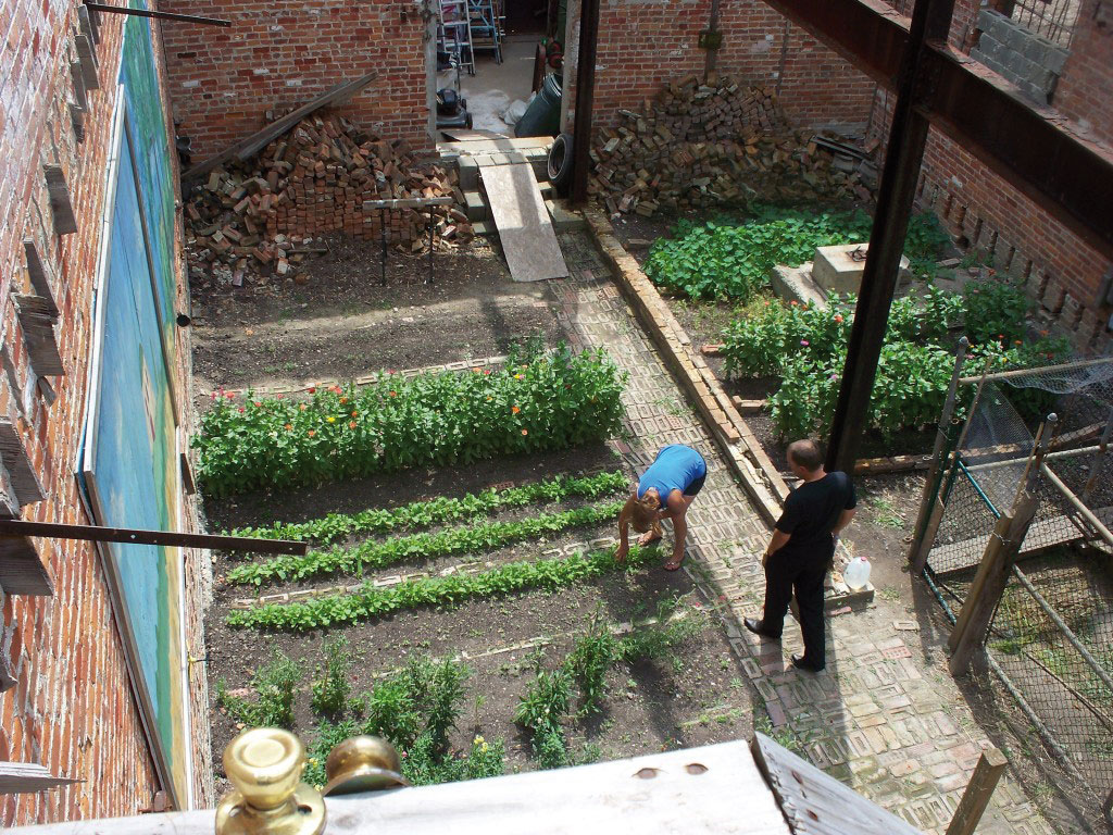 Détroit, potager dans une arrière-cour