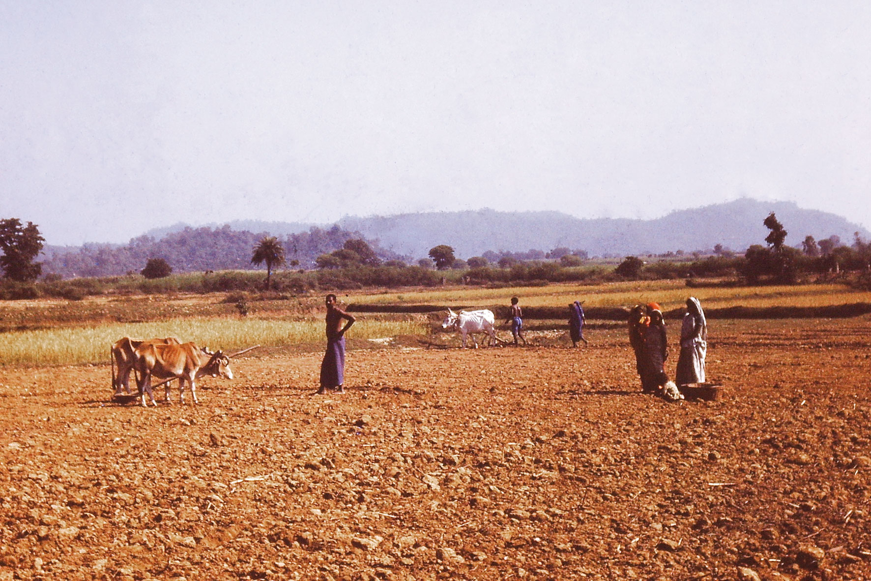 Plateaux, collines et labours dans l’Inde péninsulaire