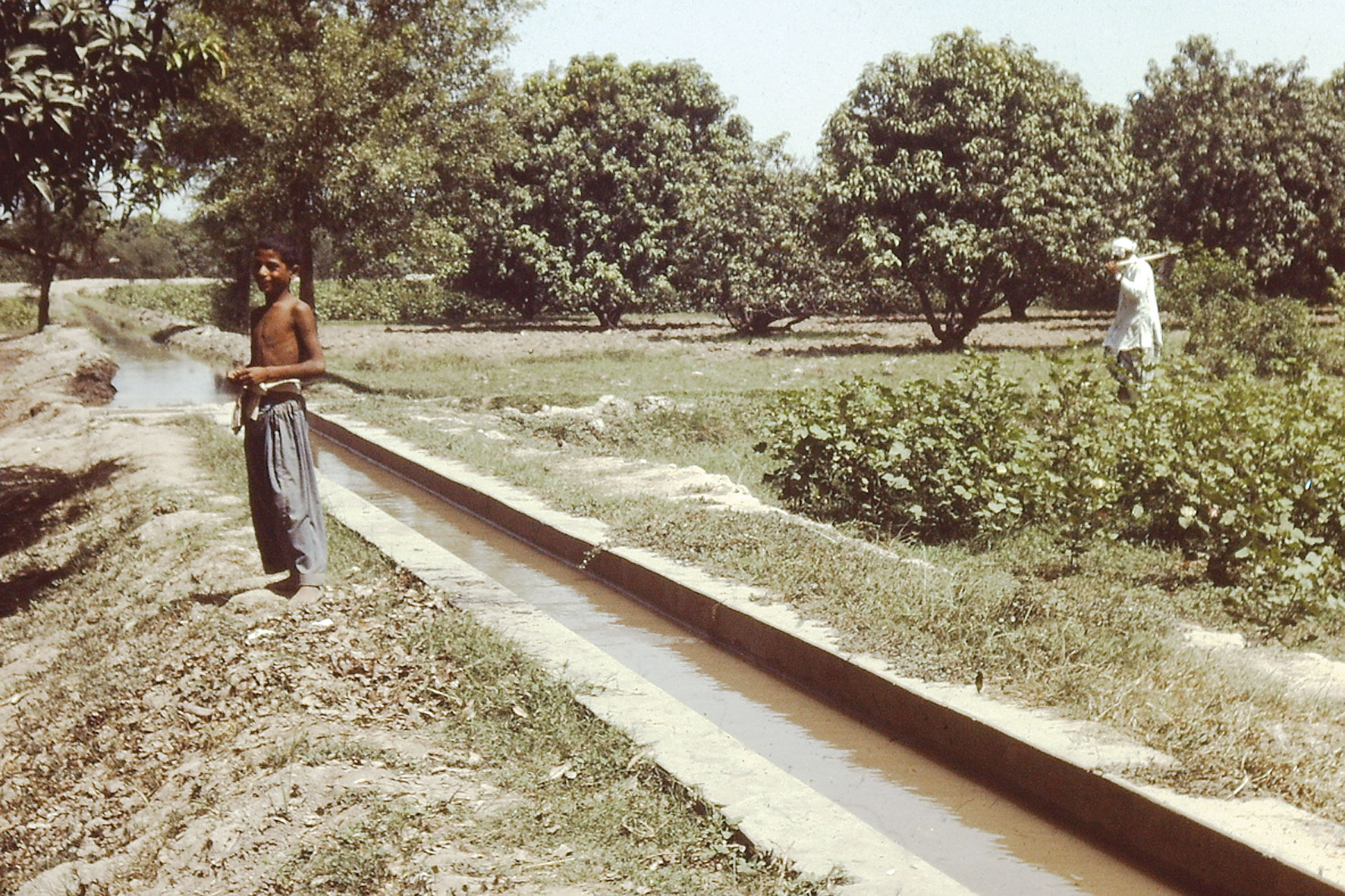 Exemple d’un bon aménagement hydraulique avec une rigole cimentée pour irriguer les champs, Panjab Pakistanais