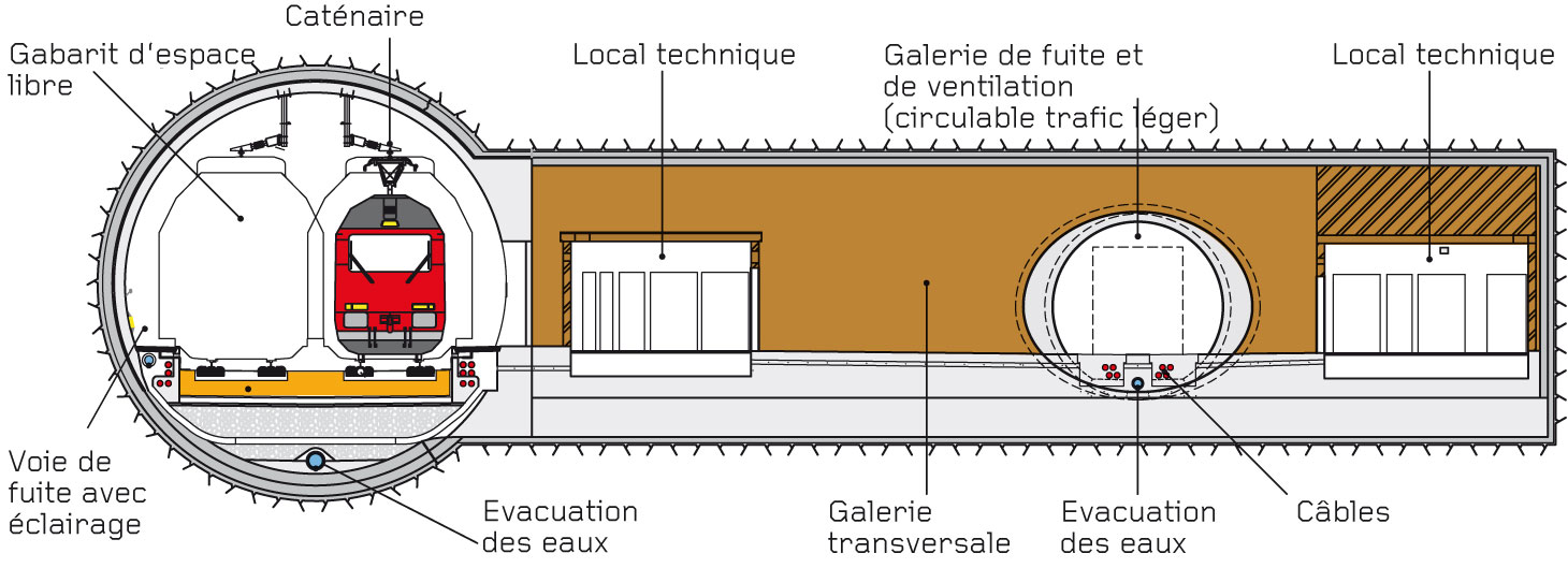 Coupe en travers du Weinbergtunnel
