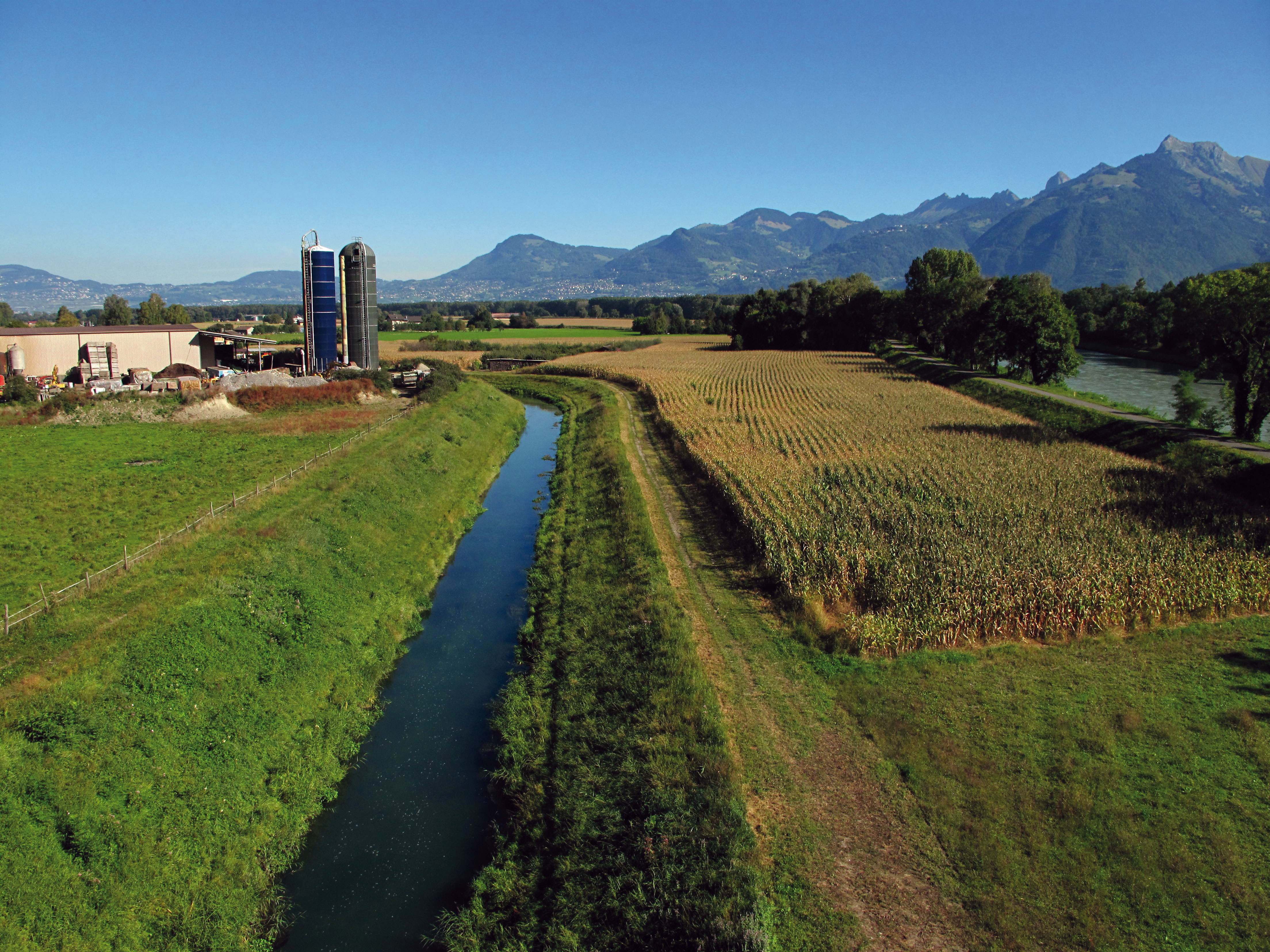 Depuis la ligne rouge
