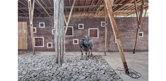 Vue du Cassia Coop Training Center