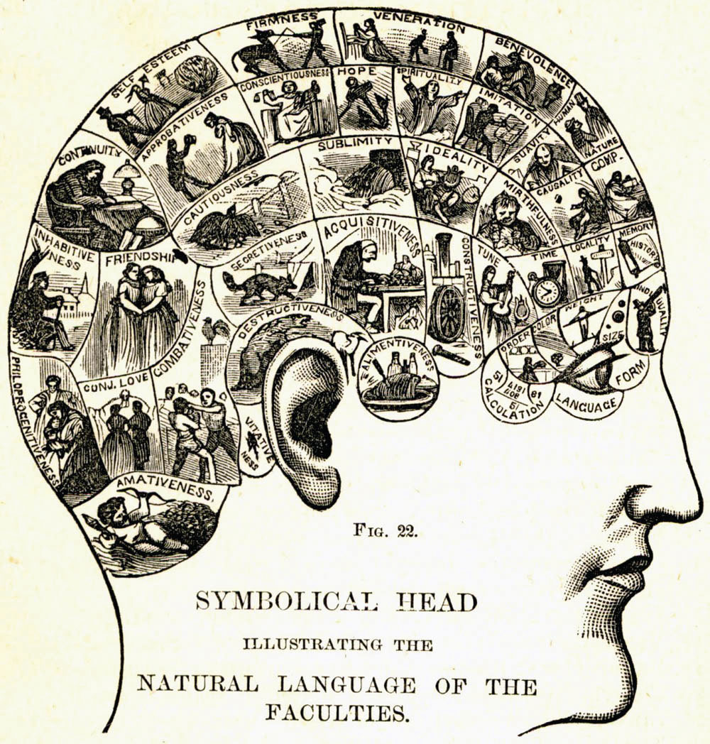 Illustration de Holmes W. Merton in Descriptive Mentality from the Head, Face and Hand, 1899