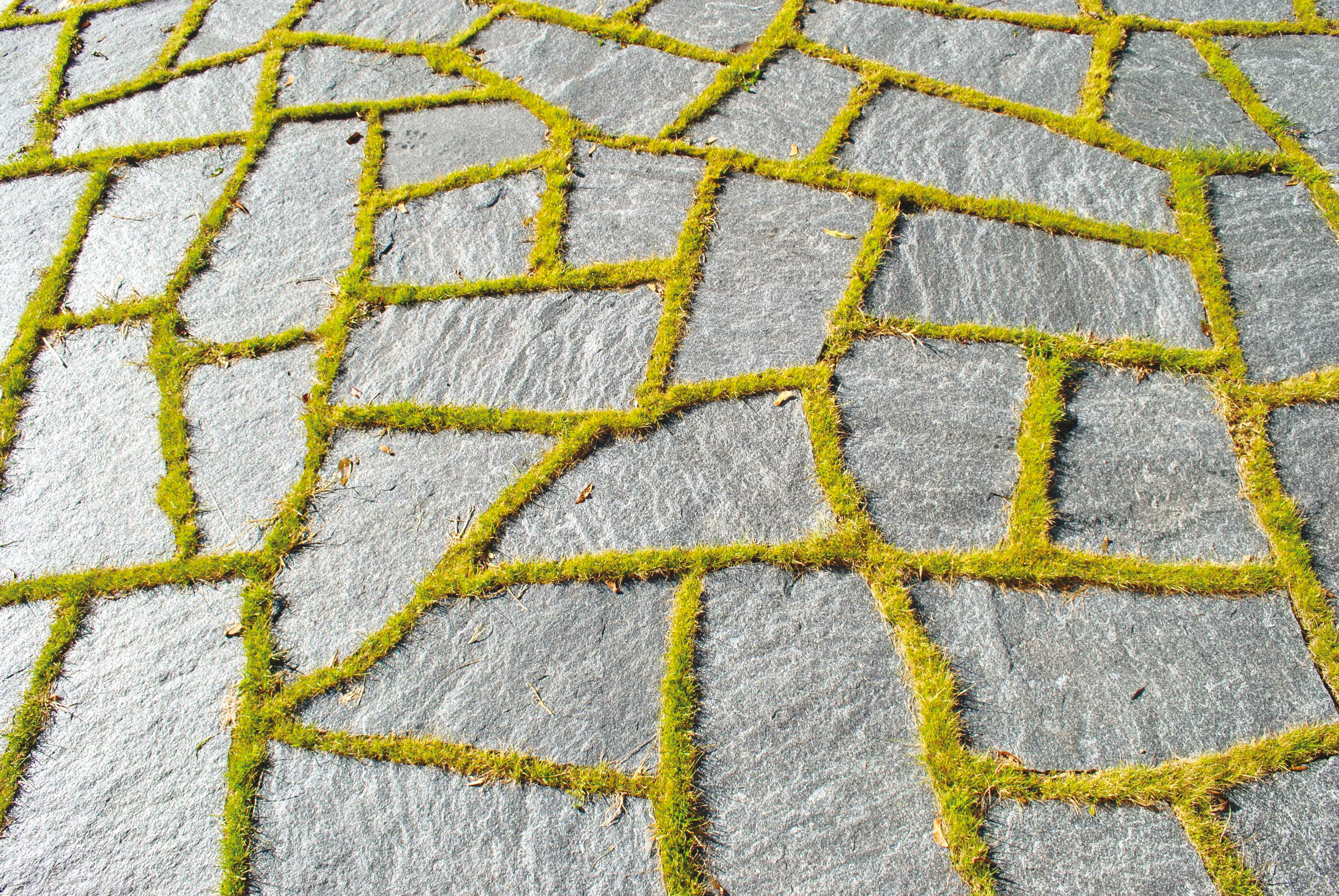 Détail de la terrasse