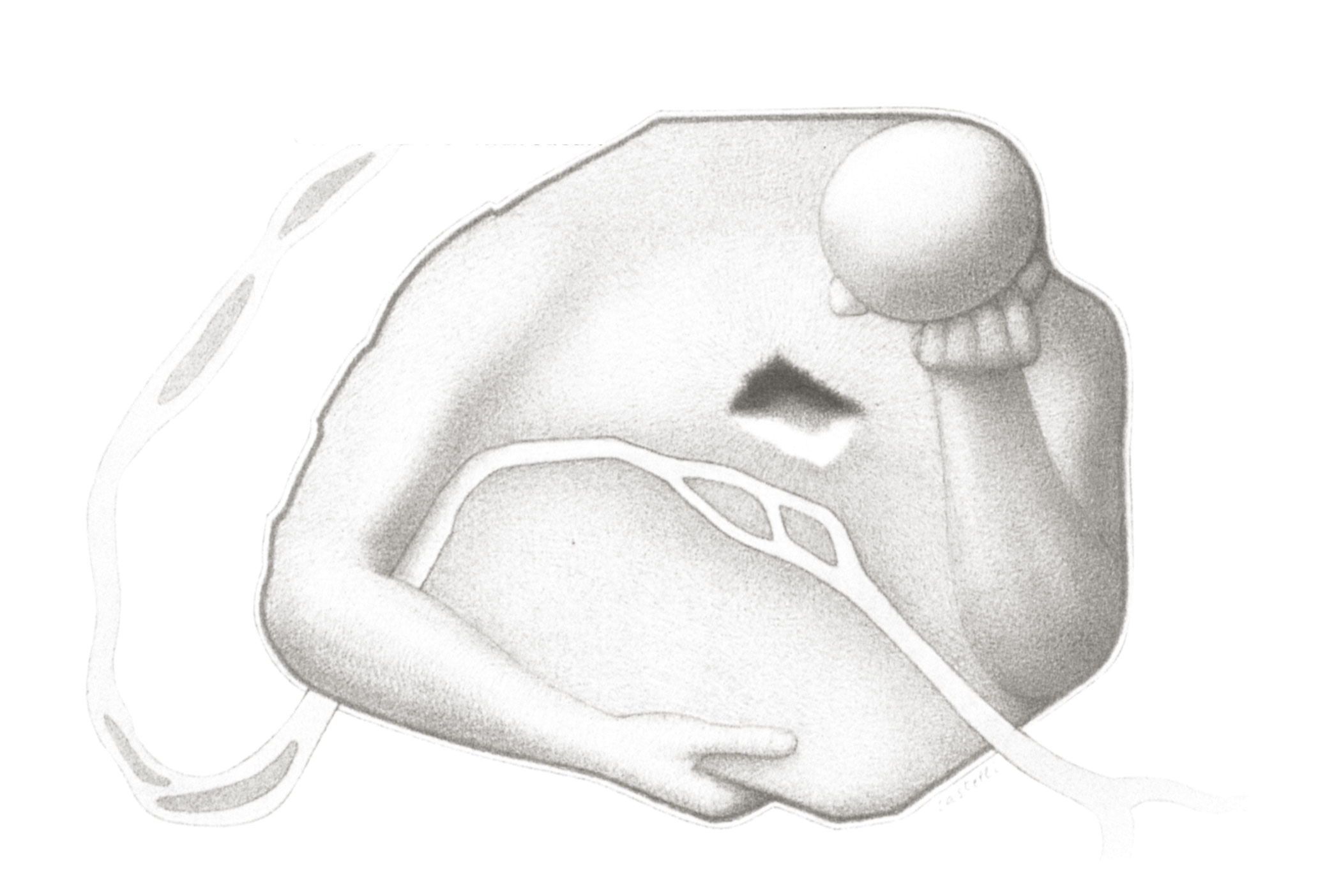 Dessin réalisé par Jean-Claude Castelli pour le concours de contre-projets des Halles organisé en 1980. (Dessin Jean-Claude Castelli)