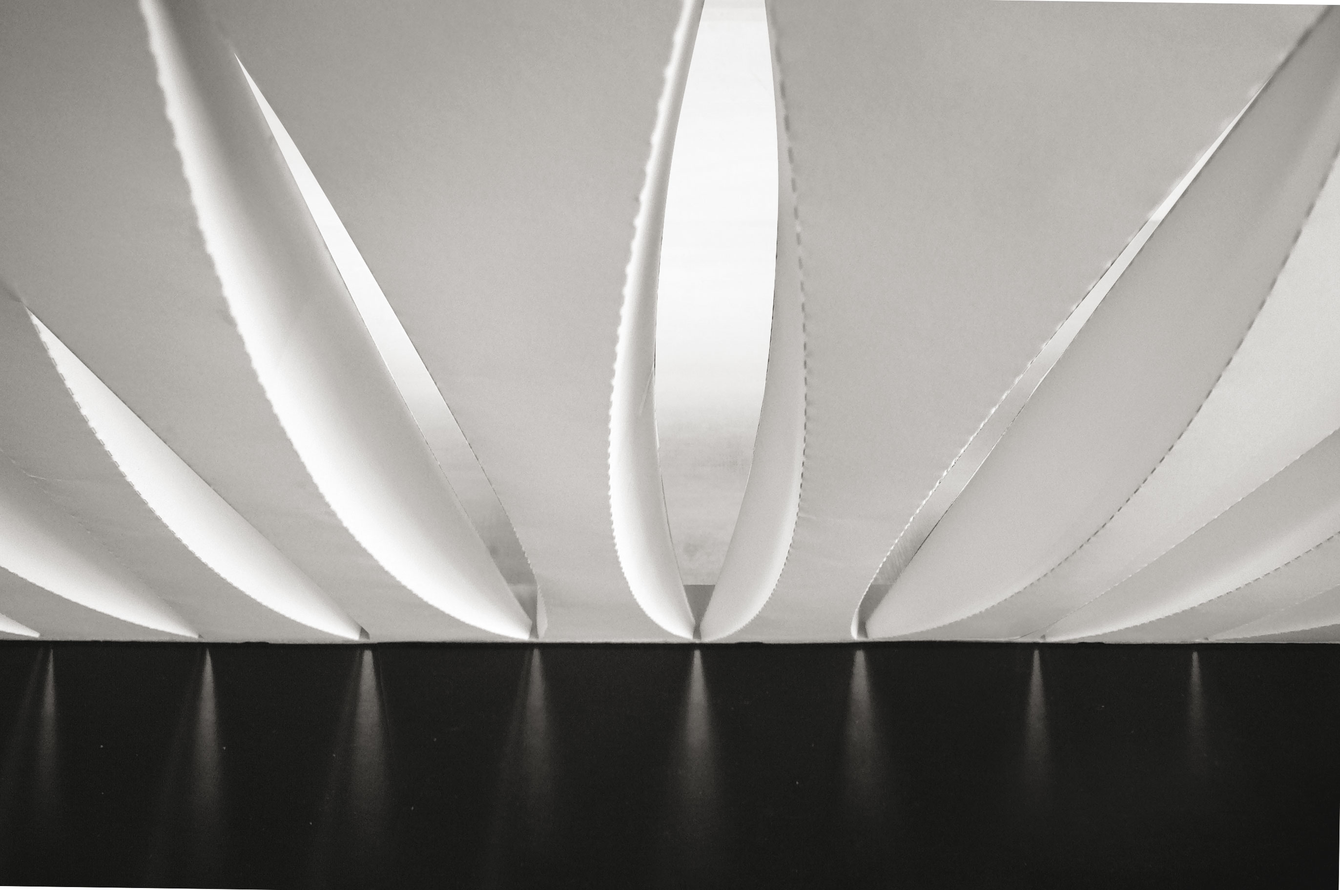 Le potentiel architectural des courbes pour des structures de grandes portées