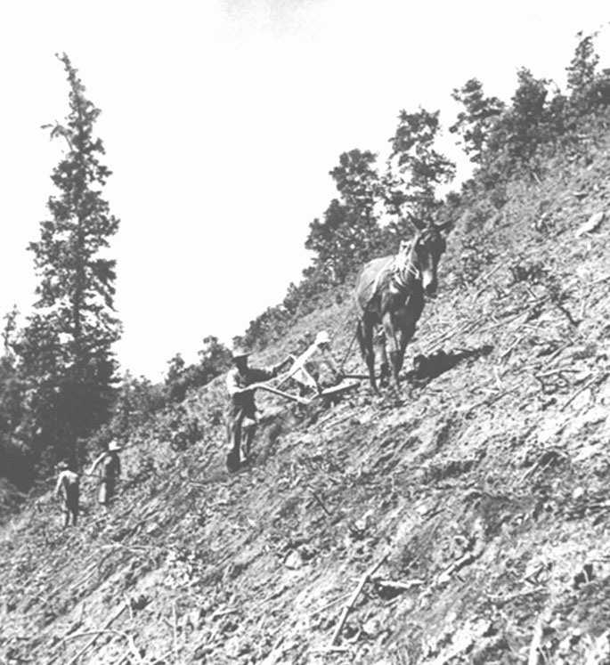 Paysan labourant un terrain en forte pente en 1935 (� National Archives)