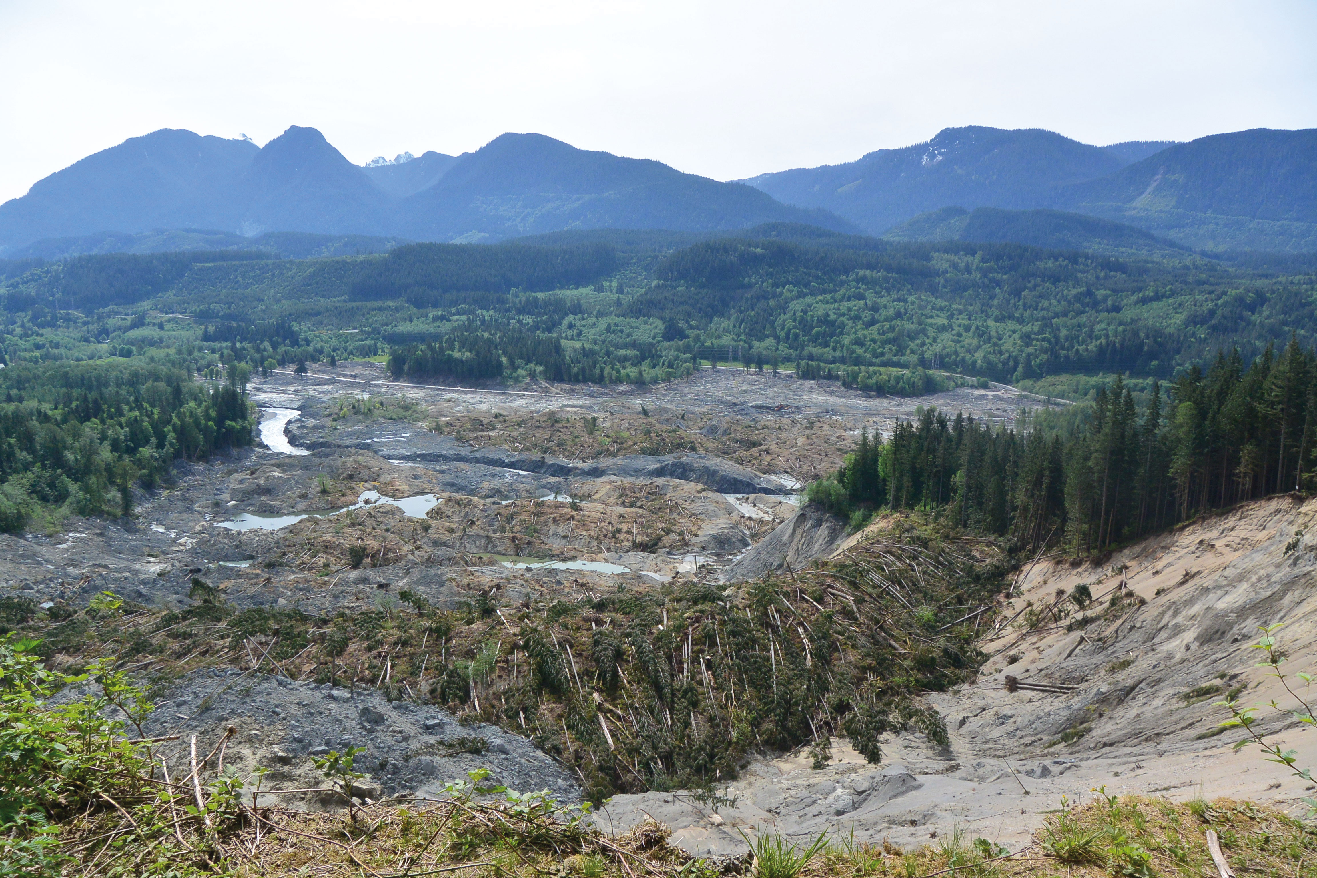 Un glissement de terrain dans la petite ville d’Oso dans l’Etat de Washington.