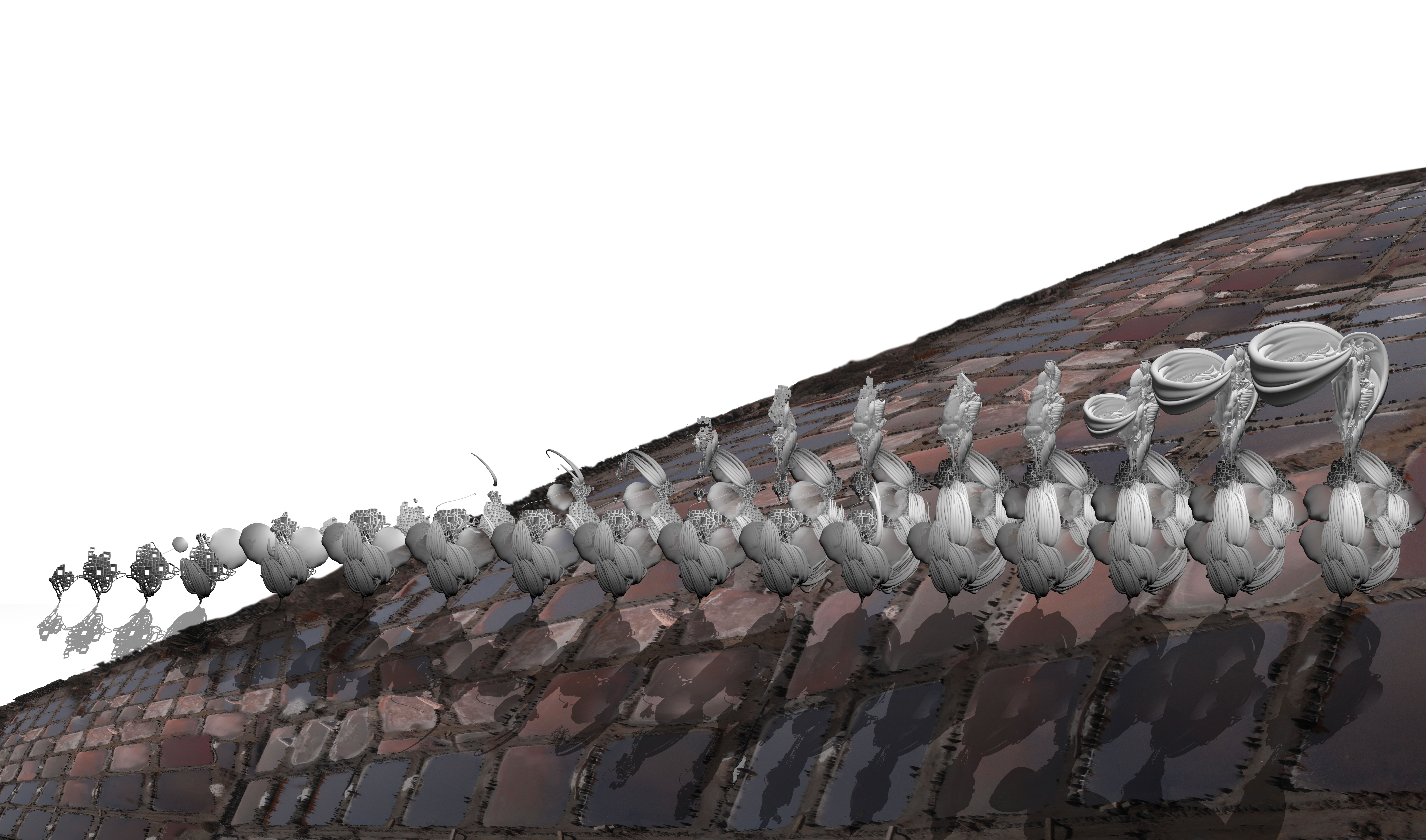 (� Hilary Koob-Sassen)