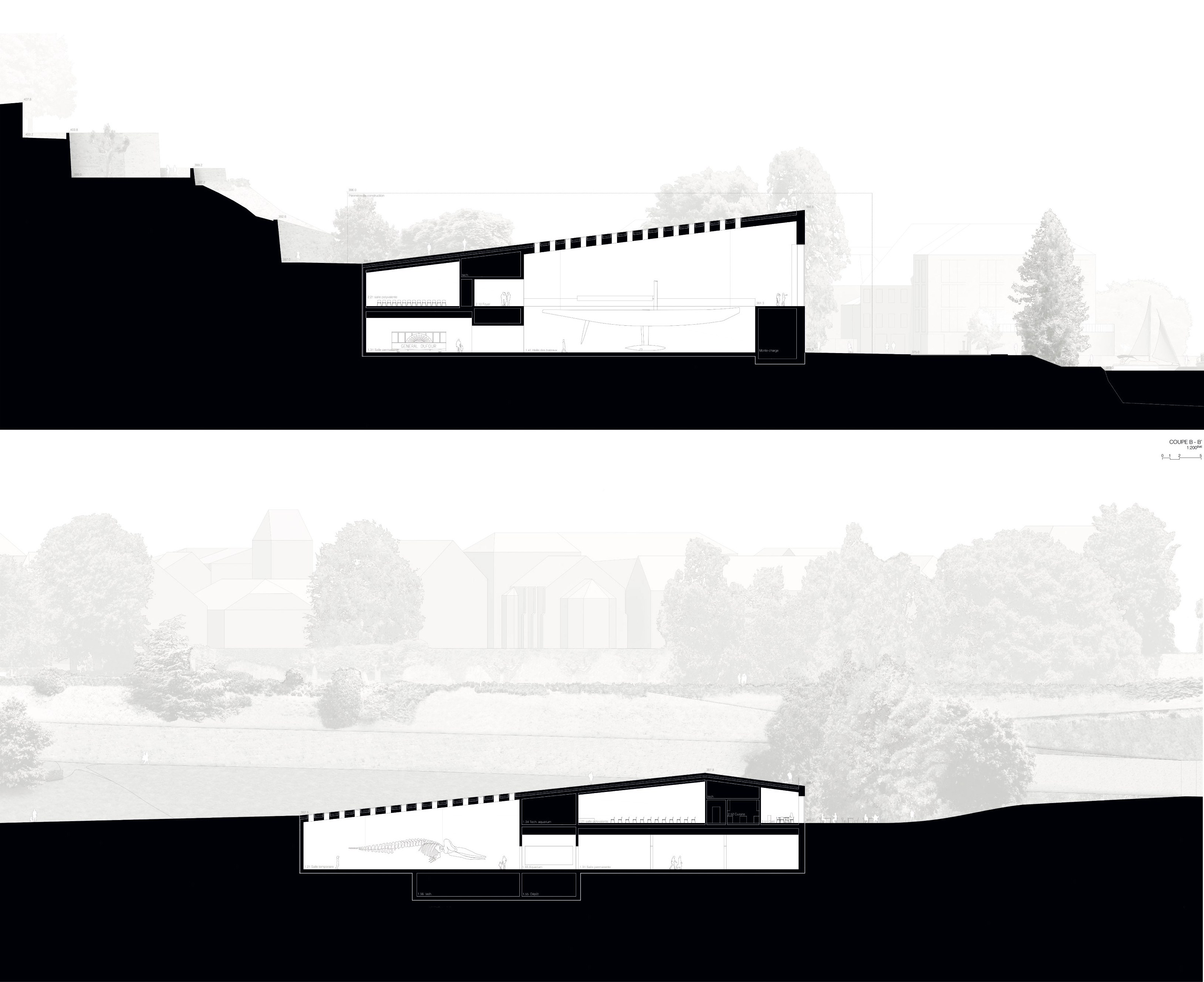 NOVIODUNUM, coupes (FHV Fruehauf, Henry &amp; Viladoms)