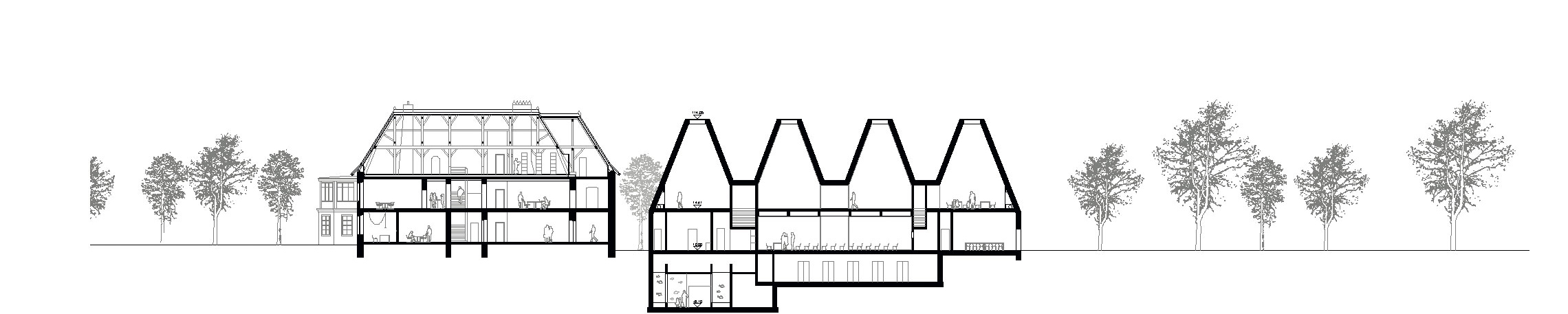 BJORN, coupe (Morger + Dettli Architekten)