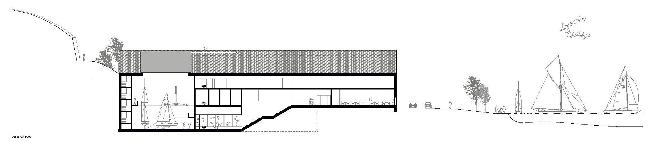 BJORN, coupe (Morger + Dettli Architekten)