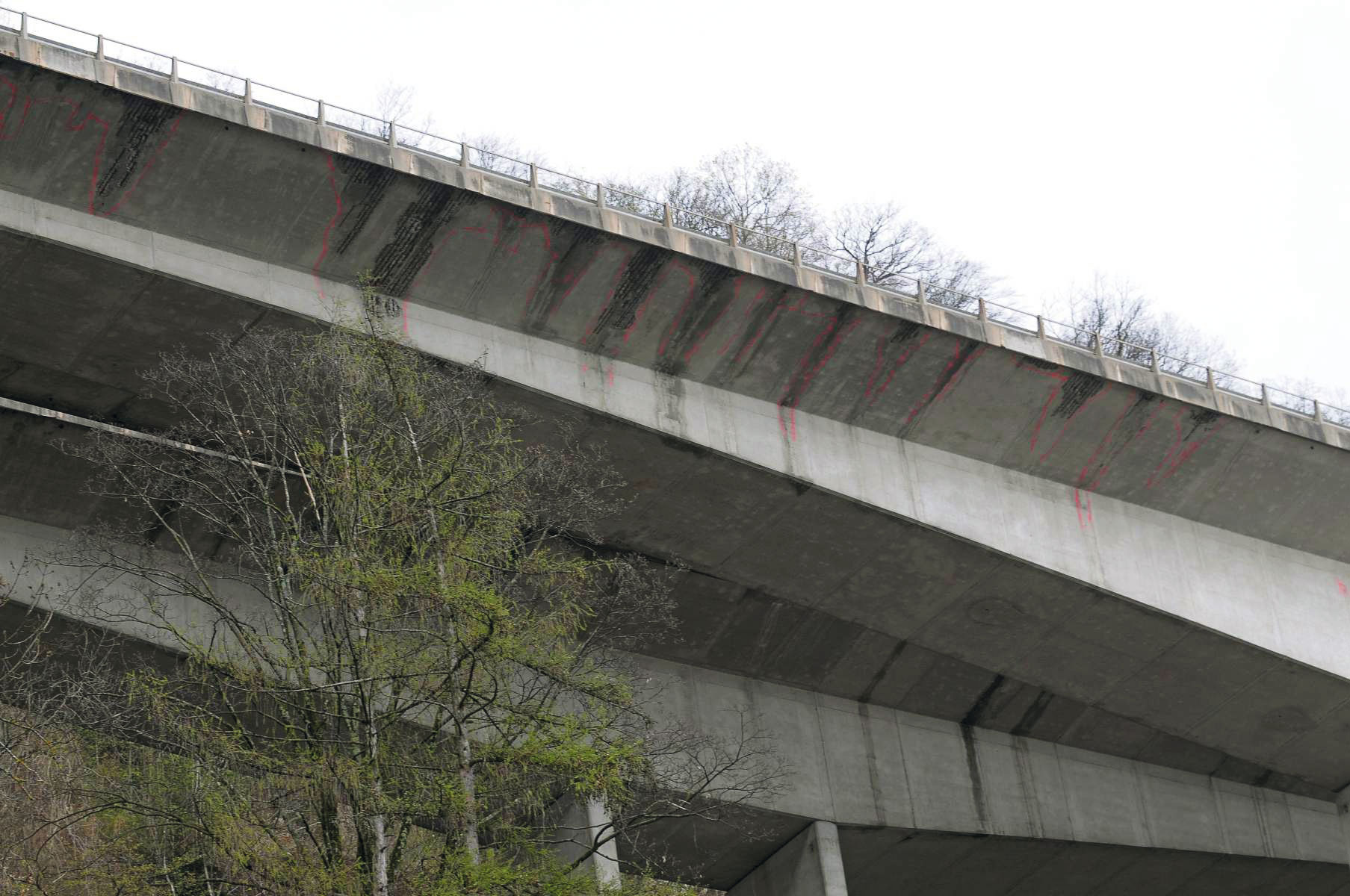 Dégâts sous les anciennes bordures