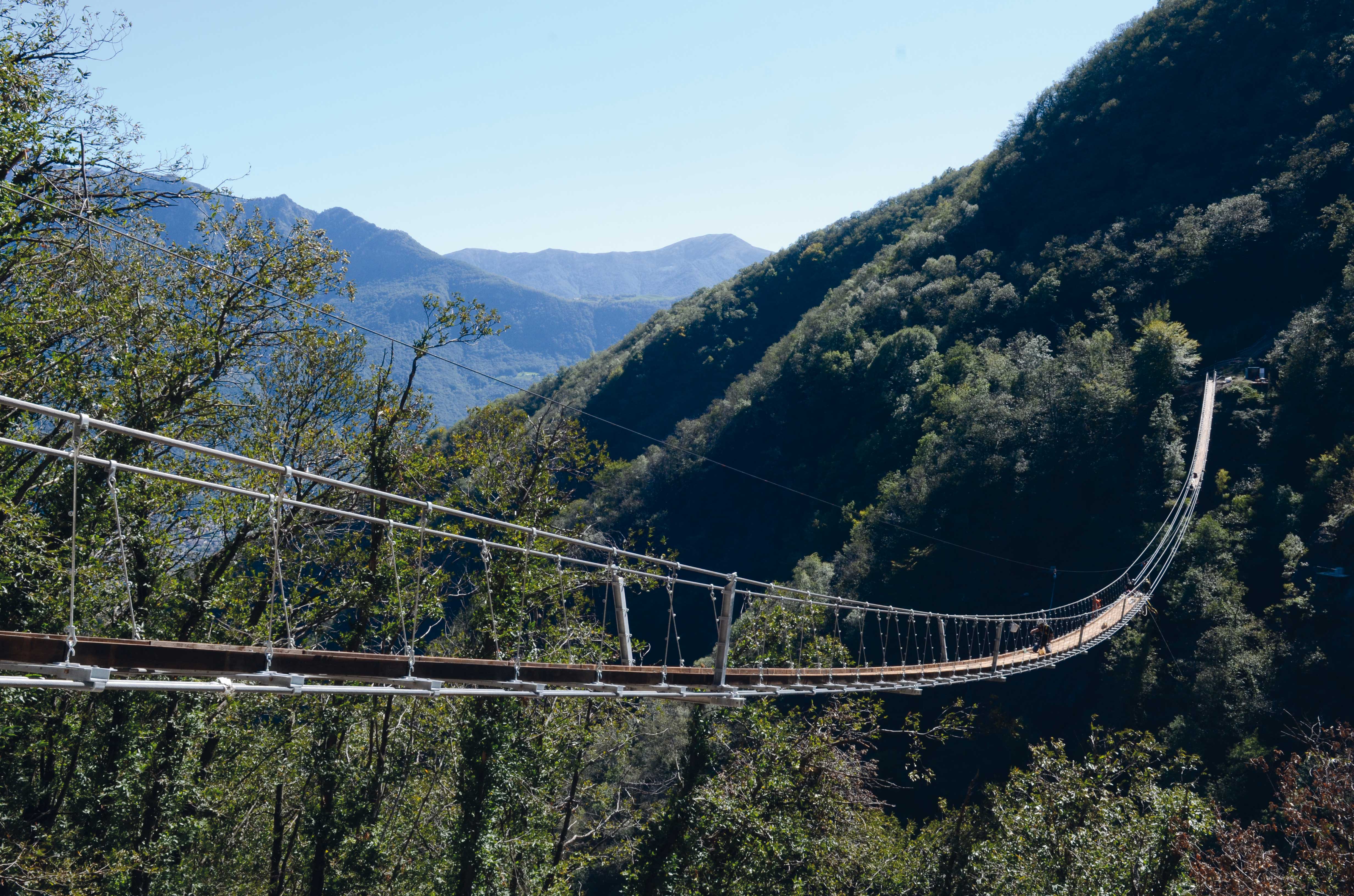 Phases de construction