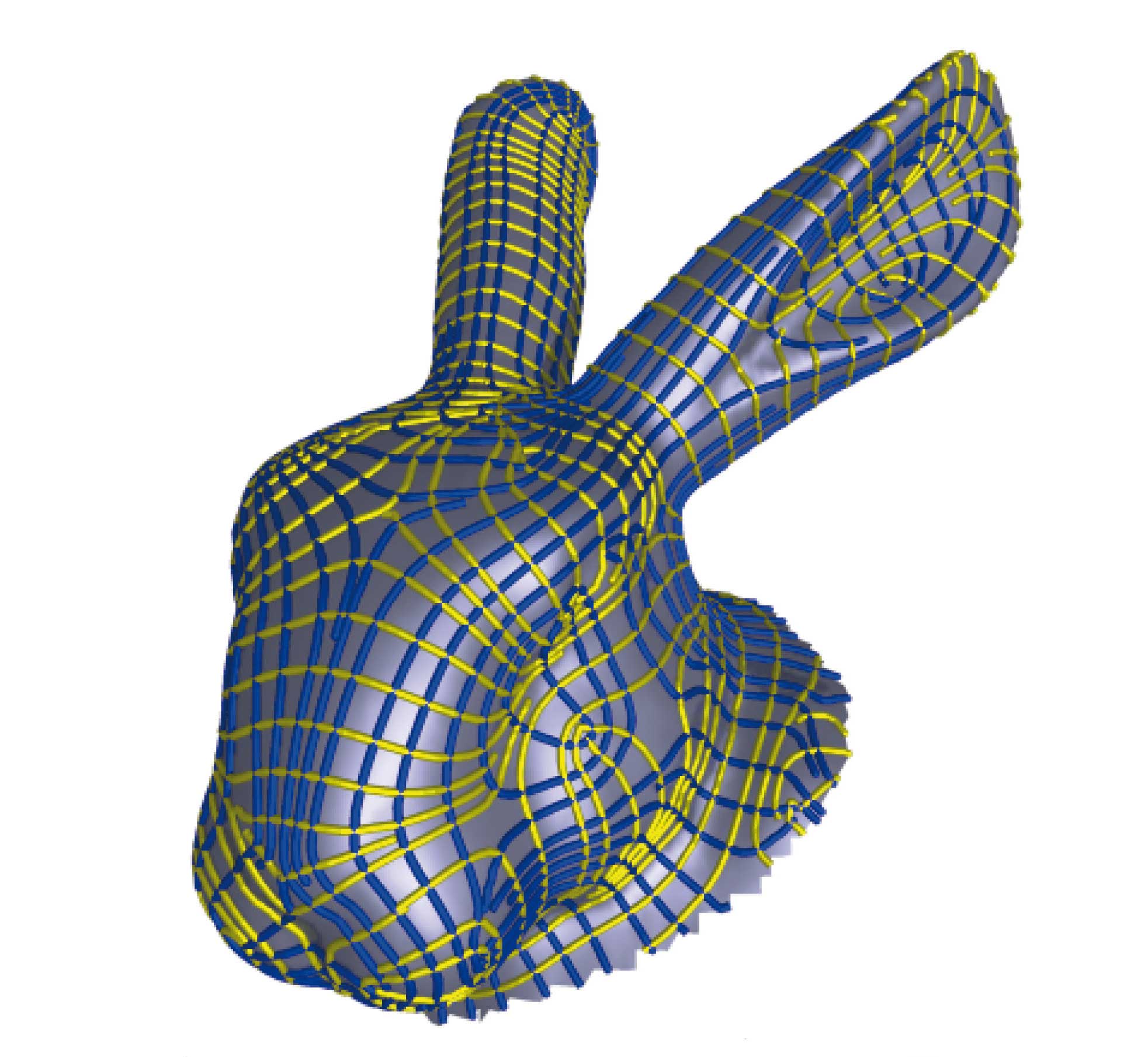 Réseau de lignes de courbure principales d’une surface irrégulière?: courbure maximale en jaune, courbure minimale en bleu