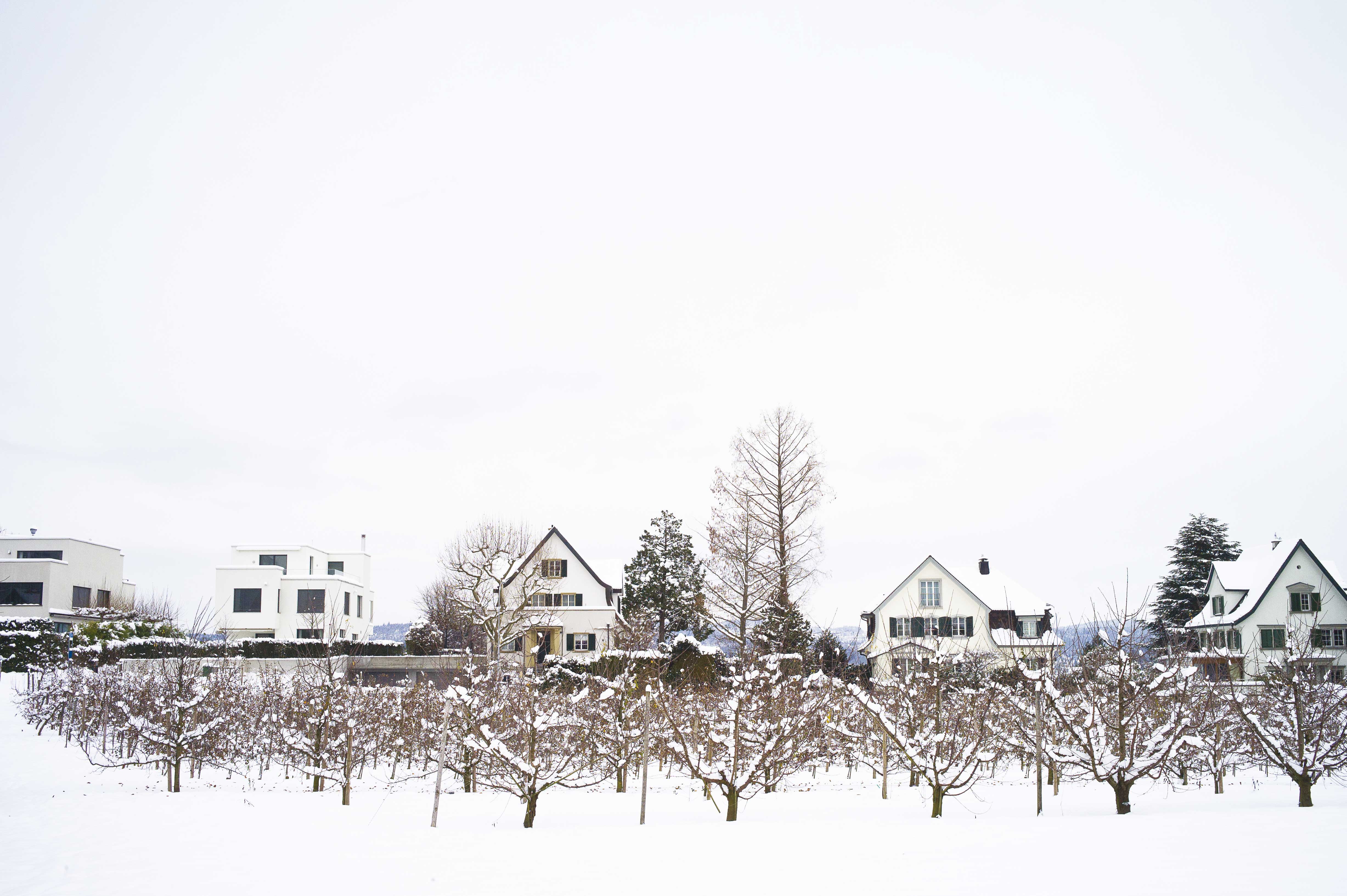 � Yves Maurer Weisbrod