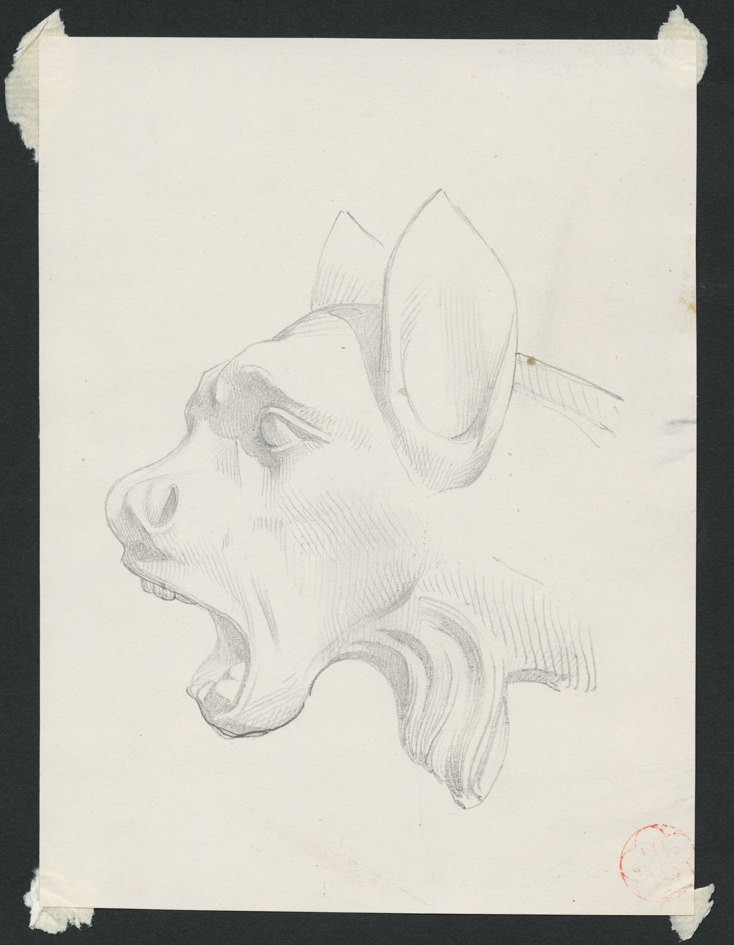 Tête de chimère (Sainte-Chapelle de Paris), vers 1840, dessin mine de plomb