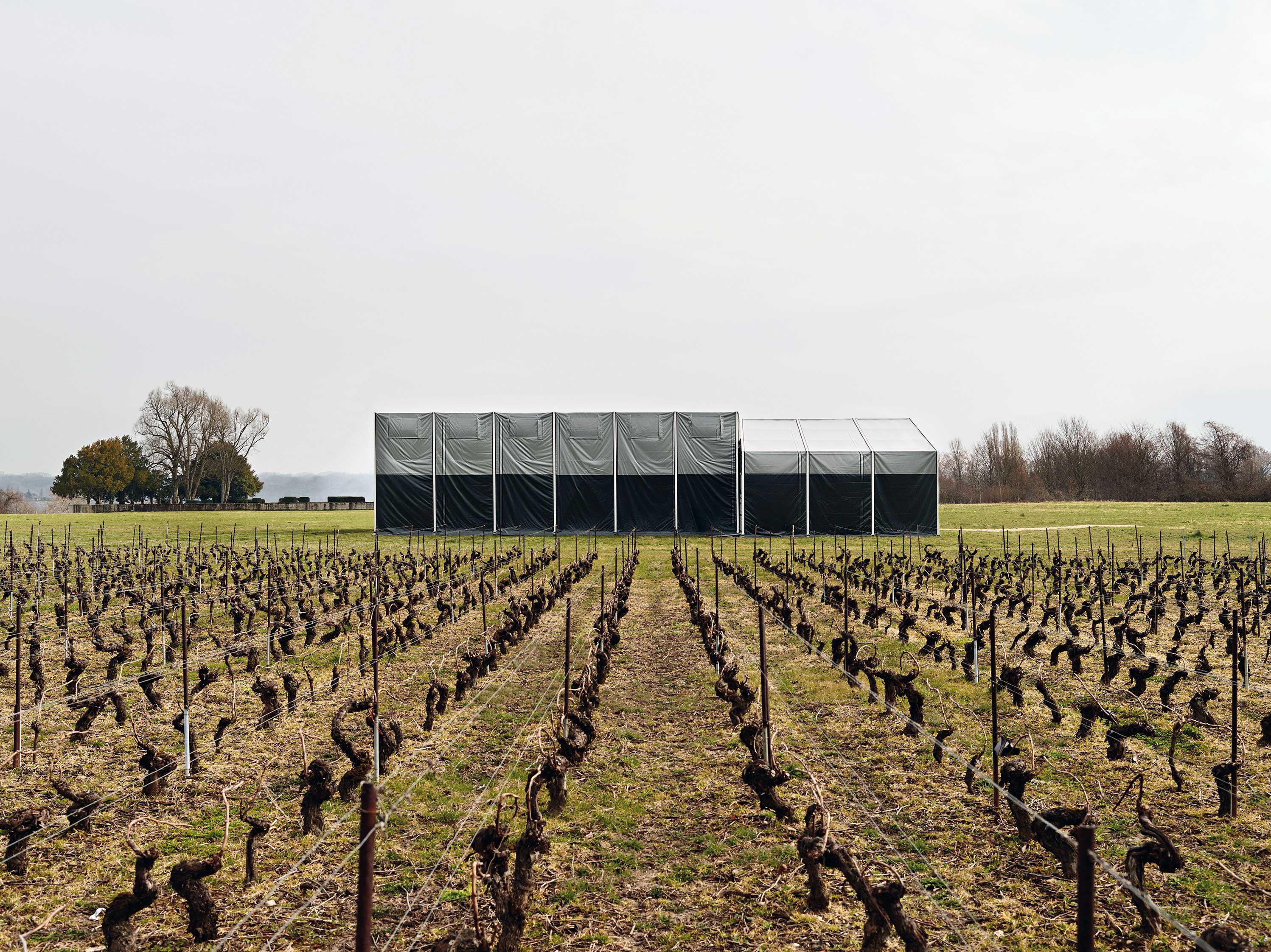 Le Voyageur à Dardagny