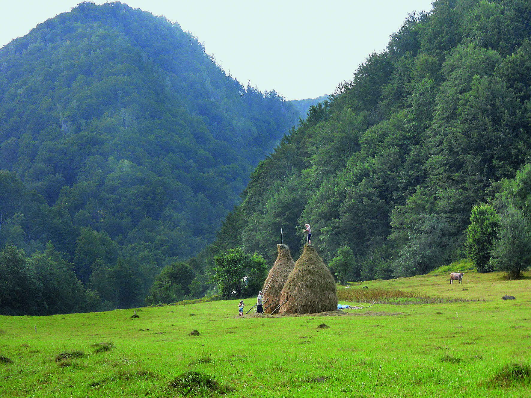 In den ukrainischen Karpaten weit verbreitete Form der Heuaufbewahrung (Foto: Lukas Denzler)