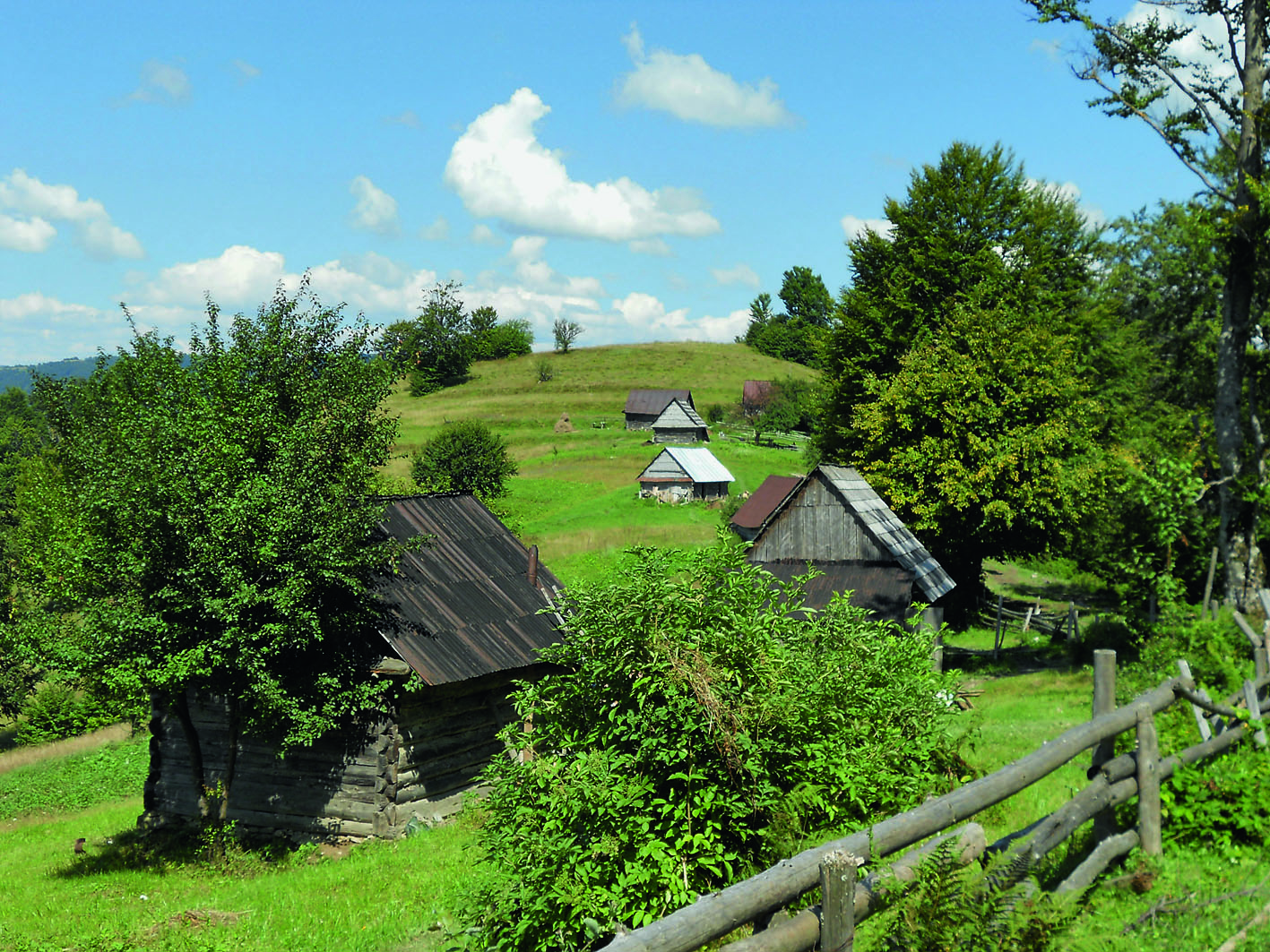 Als Maiensäss genutzte Hütten in Nyzhniy Bystryi (Foto: Lukas Denzler)