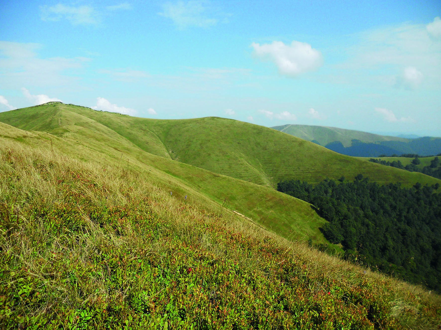 Die obersten Lagen der Hügelzüge sind in den Karpaten meistens waldfrei (Foto: Lukas Denzler)