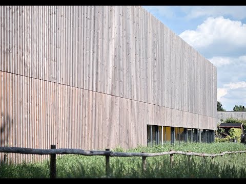 Preview image for the video "Percepire la costruzione legno: Escursione a Genestrerio".