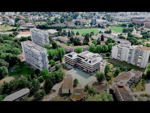 Preview image for the video "Holzbau berühren: Exkursion zur Sekundarschule Wolfsblick".