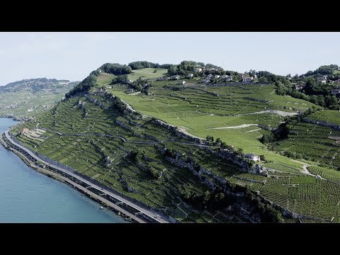 Preview image for the video "Le projet de plan d’affectation cantonal Lavaux".