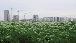 Preview image for the video "Die beste Stadt ist keine Stadt – Trailer".