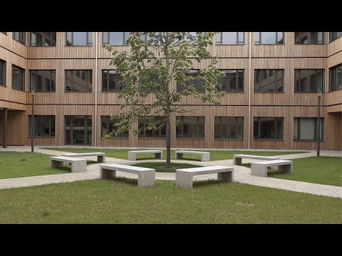 Preview image for the video "Holzbau berühren Tessin".