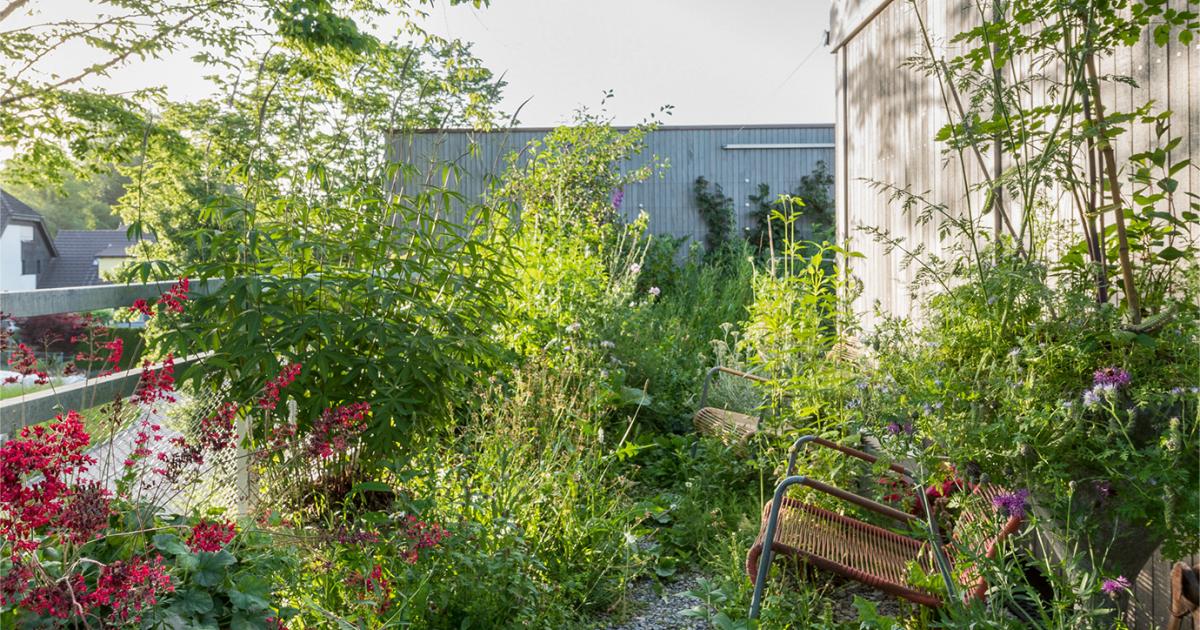 Egg: Permakultur & Holzbau – Essbare Ökosysteme im Fokus