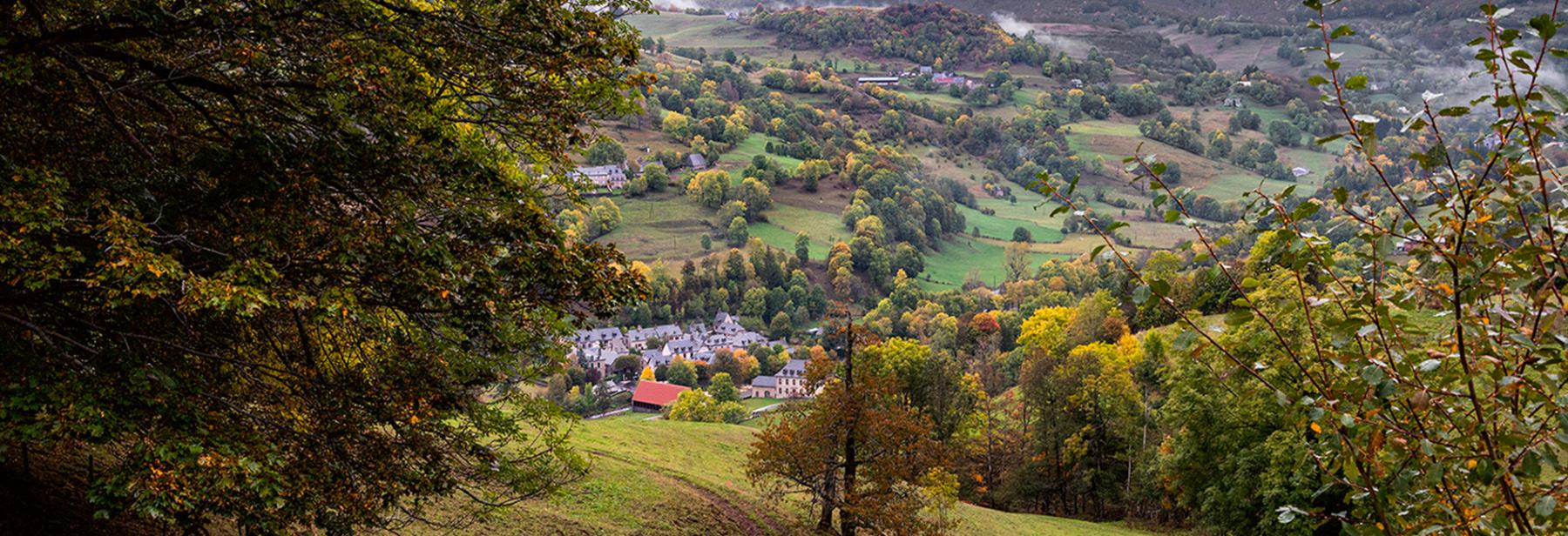 dossier ruralité